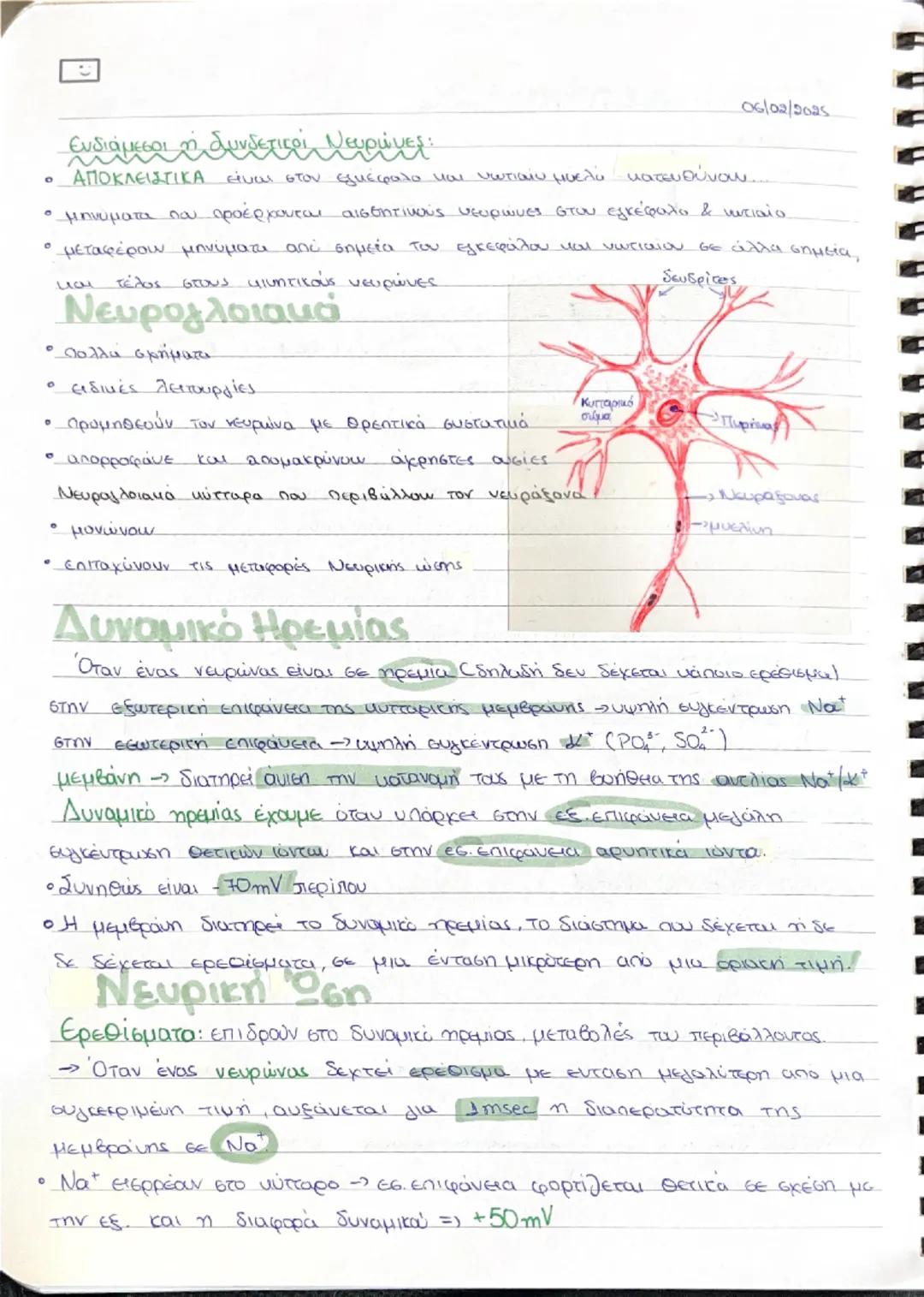 ## Νευρικό Σύστημα  διαλογία

### Συστήματα:

* Νευρικό

* **Ευδουρινών αδένων** $\implies$ Συμβάλλαν σταθερά επίπεδα εσωτερικού
περιβάλλοντ