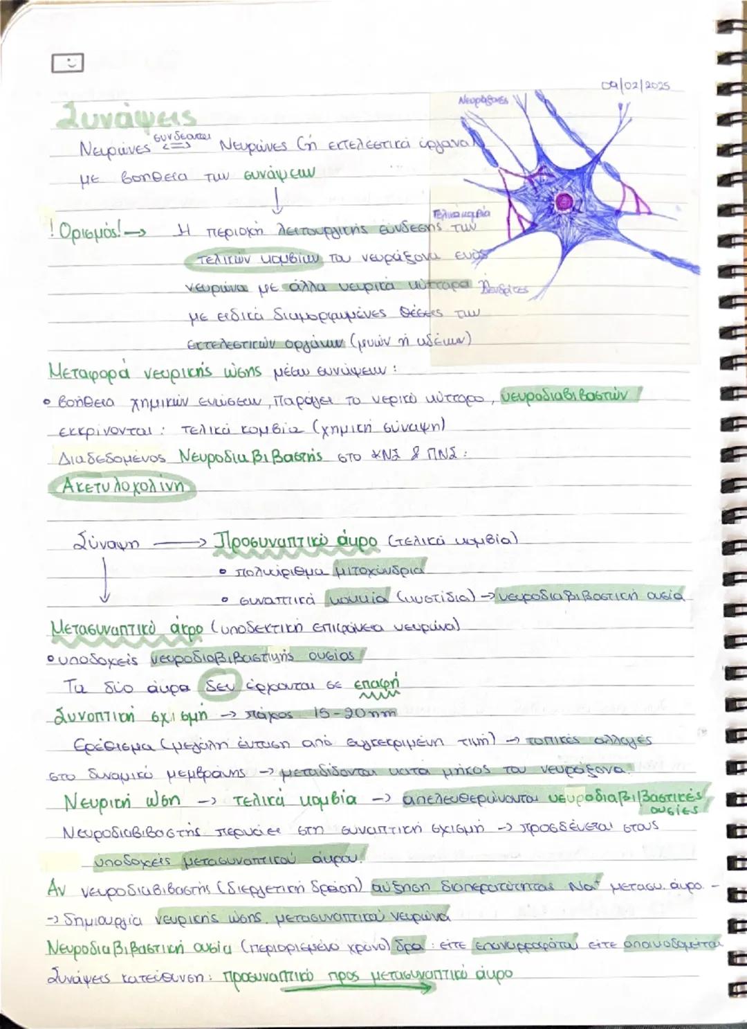 ## Νευρικό Σύστημα  διαλογία

### Συστήματα:

* Νευρικό

* **Ευδουρινών αδένων** $\implies$ Συμβάλλαν σταθερά επίπεδα εσωτερικού
περιβάλλοντ