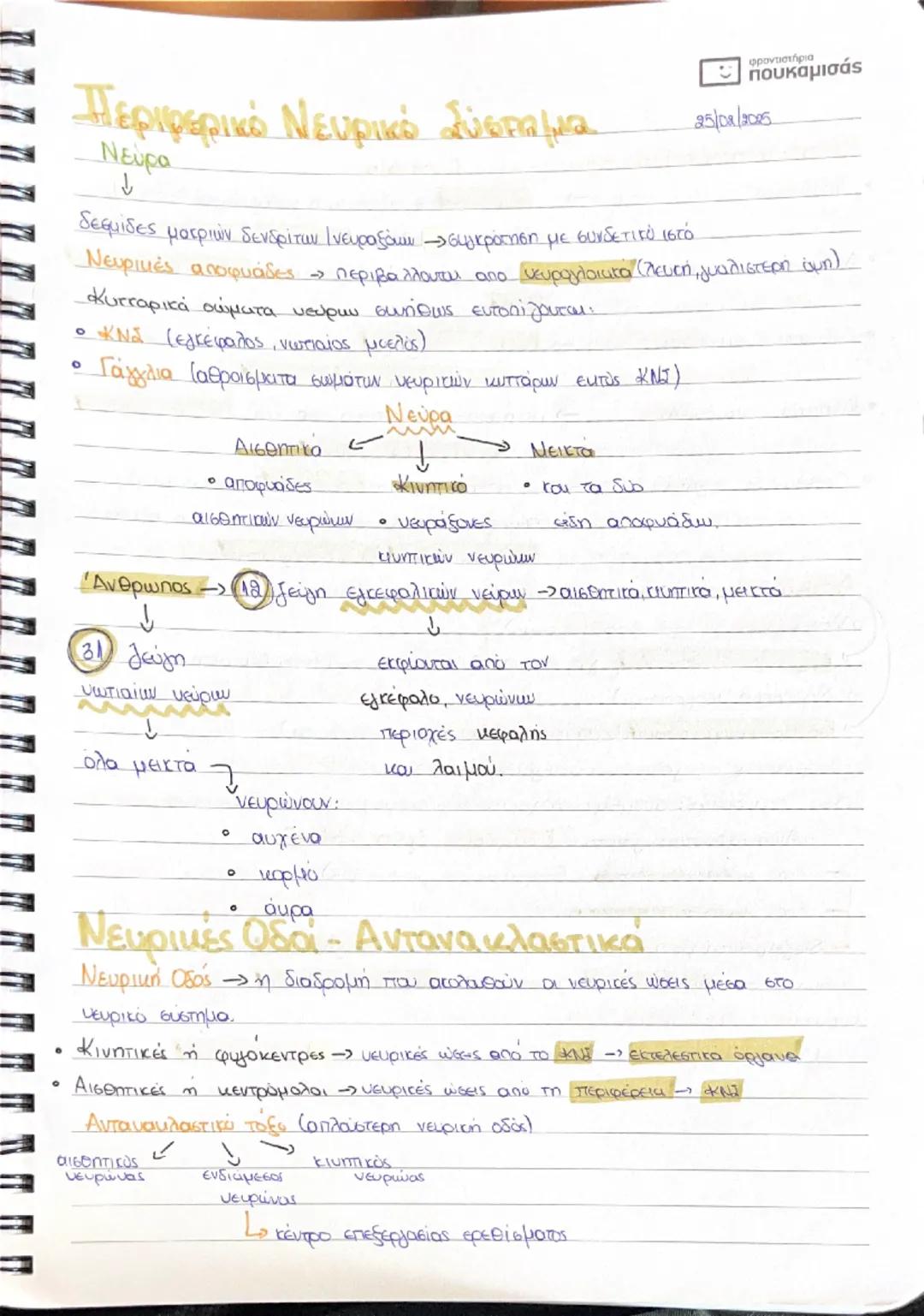 ## Νευρικό Σύστημα  διαλογία

### Συστήματα:

* Νευρικό

* **Ευδουρινών αδένων** $\implies$ Συμβάλλαν σταθερά επίπεδα εσωτερικού
περιβάλλοντ