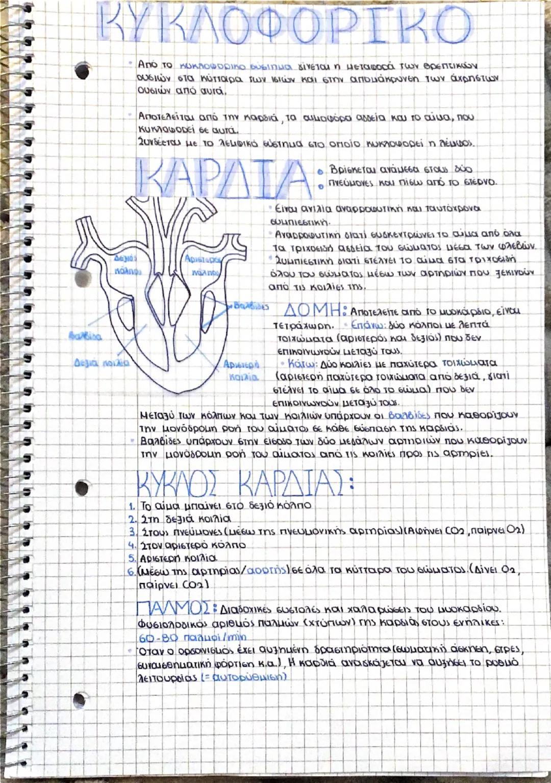 # ΚΥΚΛΟΦΟΡΙΚΟ

*   Από το κυκλοφορικό σύστημα γίνεται η μεταφορά των θρεπτικών
    ουσιών στα κύτταρα των ιστών και στην απομάκρυνση των άχρ