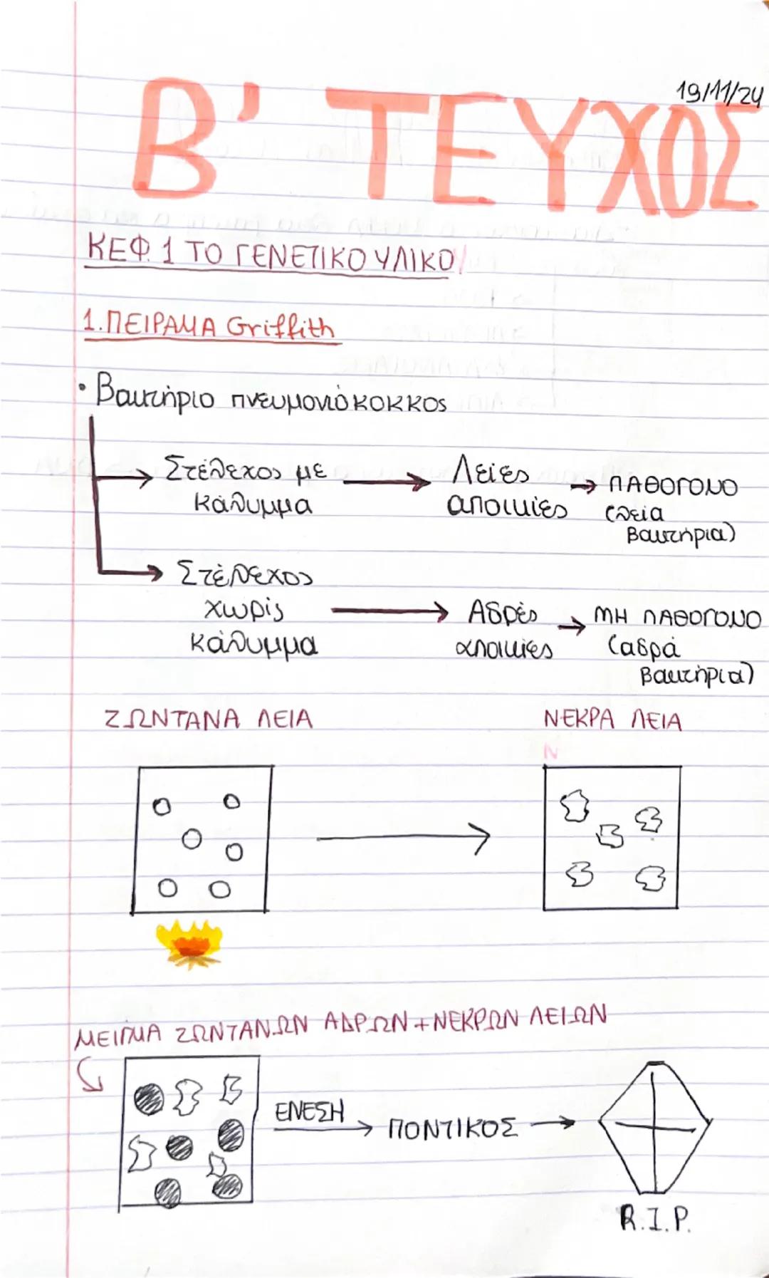 19/11/24
Β' ΤΕΥΧΟΣ
ΚΕΦ. 1 ΤΟ ΓΕΝΕΤΙΚΟ ΥΛΙΚΟ,
1. ΠΕΙΡΑΜΑ Griffith
• Βακτήριο πνευμονιόκοκκος
- Στέλεχος με
Κάλυμμα
- Στέλεχος
χωρίς
κάλυμμα
Ζ