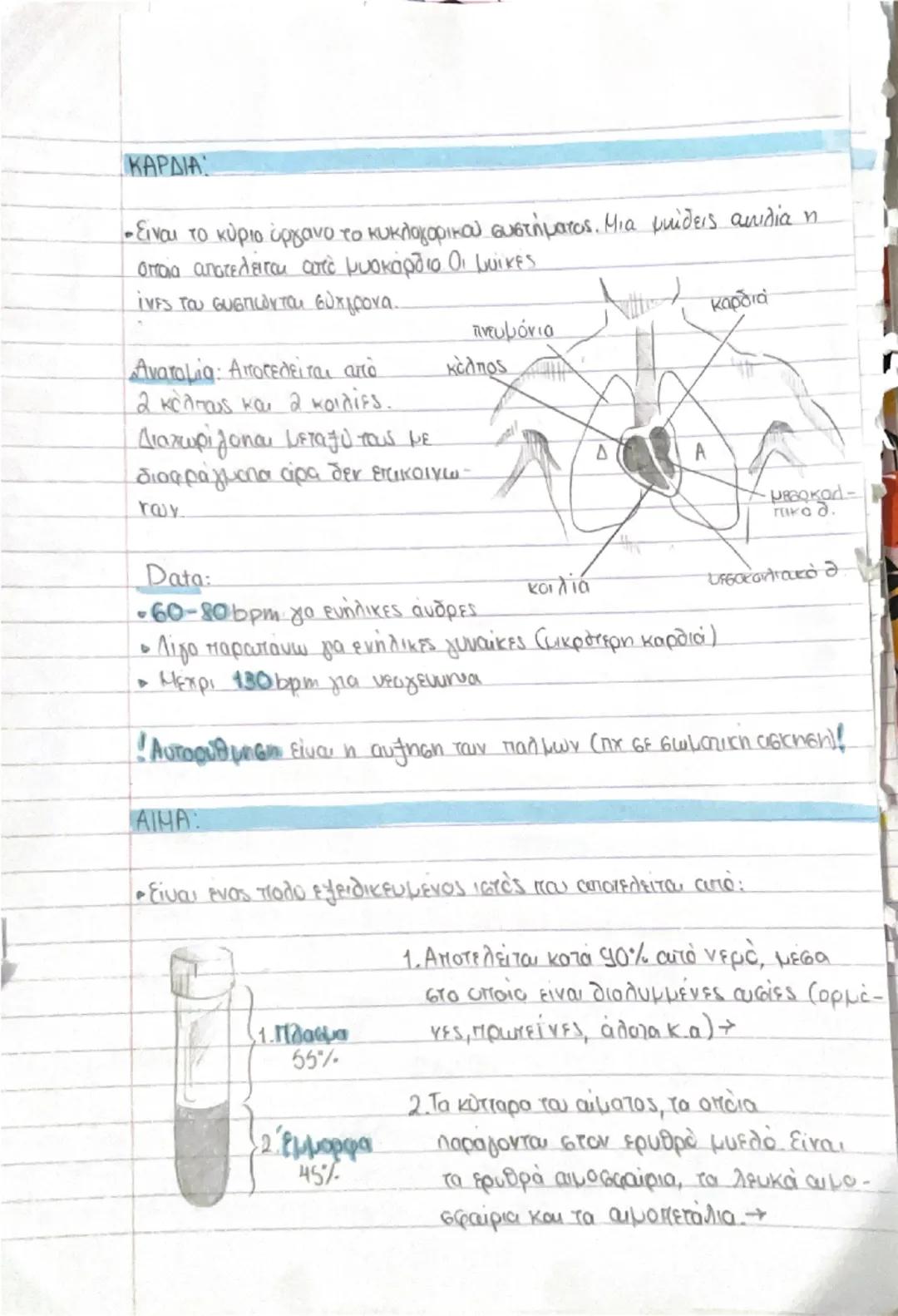# ΚΥΤΤΑΡΑ ΚΑΙ ΙΣΤΟΙ

- Ο άνθρωπος αποτελείται από τρισεκατομμύρια κύτταρα → διαφορετικό μέγεθος, σχήμα, χρώμα κ.α. Προέρχονται από το
**ζυγω