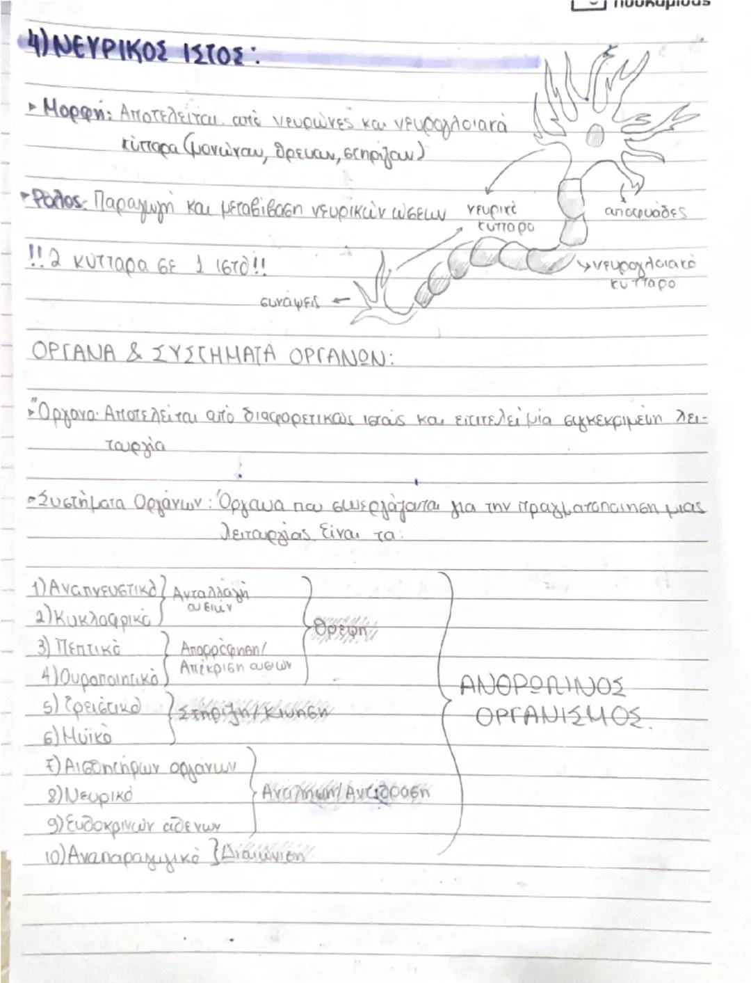 # ΚΥΤΤΑΡΑ ΚΑΙ ΙΣΤΟΙ

- Ο άνθρωπος αποτελείται από τρισεκατομμύρια κύτταρα → διαφορετικό μέγεθος, σχήμα, χρώμα κ.α. Προέρχονται από το
**ζυγω