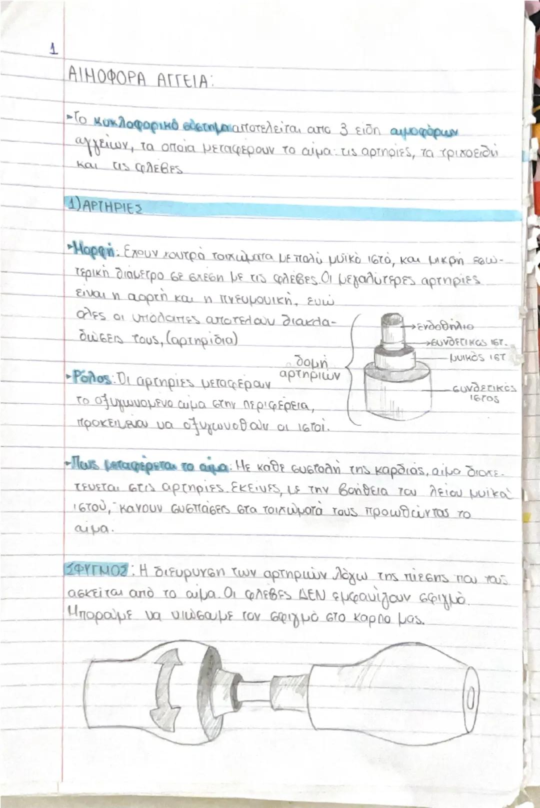 # ΚΥΤΤΑΡΑ ΚΑΙ ΙΣΤΟΙ

- Ο άνθρωπος αποτελείται από τρισεκατομμύρια κύτταρα → διαφορετικό μέγεθος, σχήμα, χρώμα κ.α. Προέρχονται από το
**ζυγω