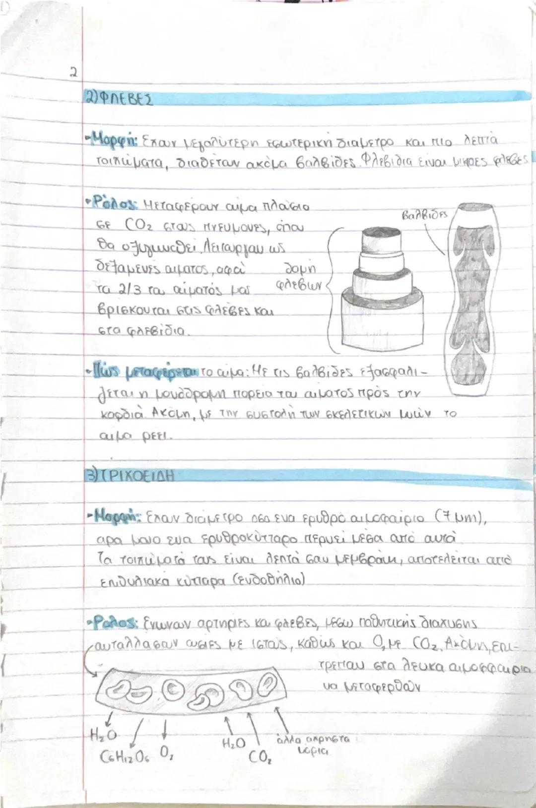 # ΚΥΤΤΑΡΑ ΚΑΙ ΙΣΤΟΙ

- Ο άνθρωπος αποτελείται από τρισεκατομμύρια κύτταρα → διαφορετικό μέγεθος, σχήμα, χρώμα κ.α. Προέρχονται από το
**ζυγω