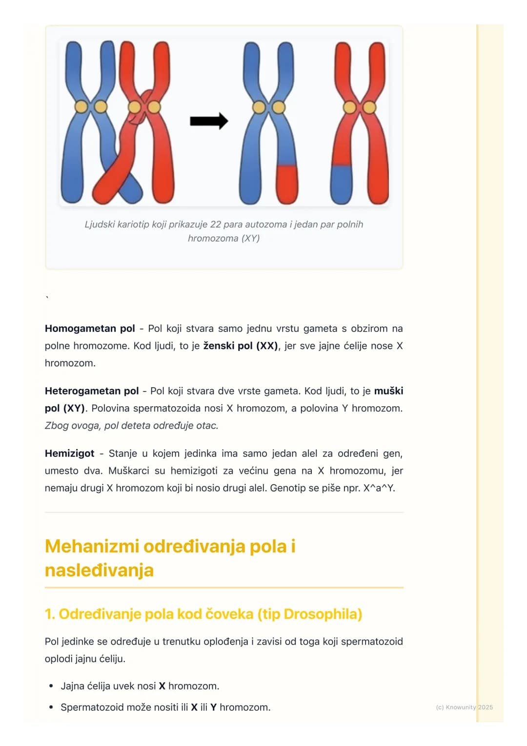 # Nasleđivanje pola i polno
vezane osobine

Uvod u nasleđivanje pola

Određivanje pola je fundamentalni biološki proces. Genetički mehanizmi