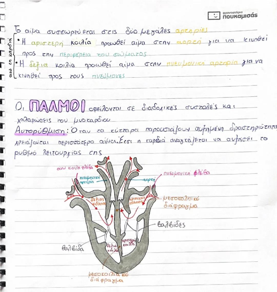 # 3 ΚΥΚΛΟΦΟΡΙΚΟ ΣΥΣΤΗΜΑ

Ισεκεί γίνεται η μεταφορά των Θρεπτικών ουσιών στα
κύτταρα των ιστών και η απομάκρυνση των άχρηστων από αυτά

## Κα
