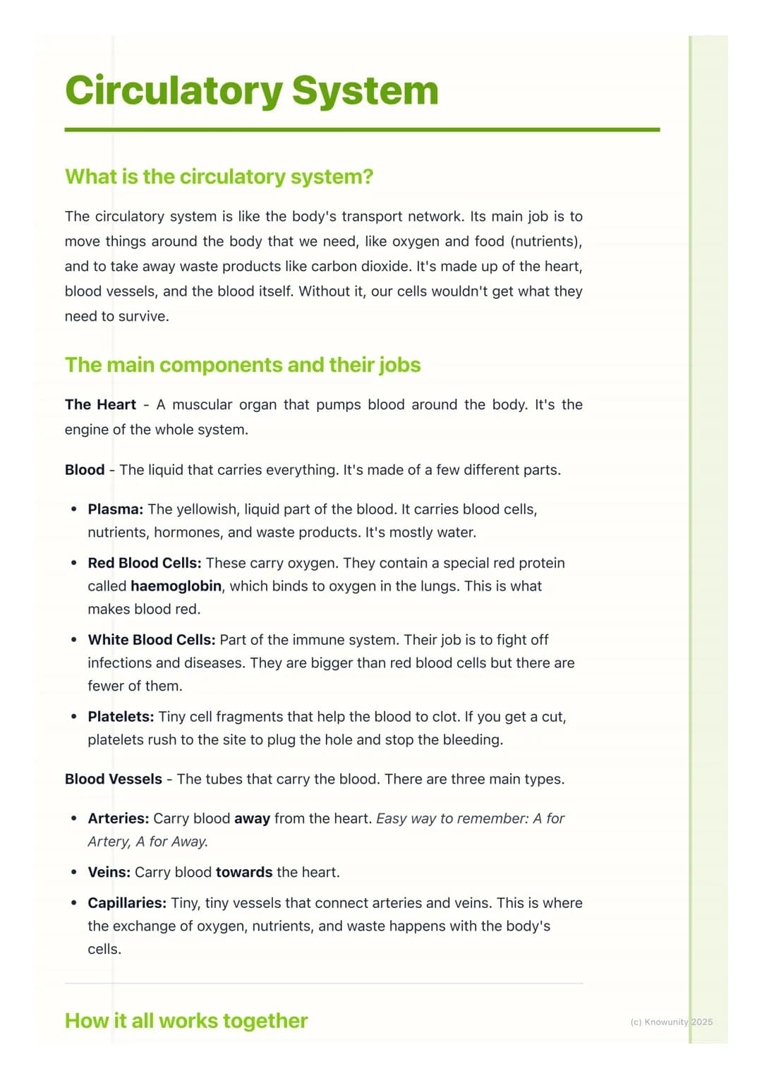 # Circulatory System

What is the circulatory system?

The circulatory system is like the body's transport network. Its main job is to
move 