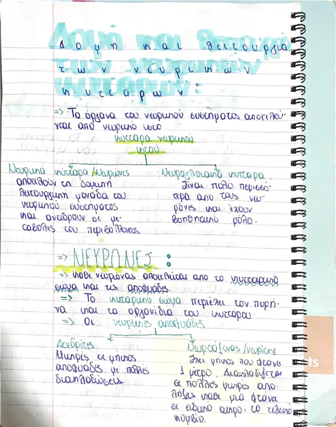 Wa
02-04-2025

# Διαγωνισμα Βωλογίας

## Νευρικό σύστημα

=> Το νεωρυπό σύστημα
μαζί με το σύστημα των
ενδοκρινών απάνων συμβάλ
λουν στη δια