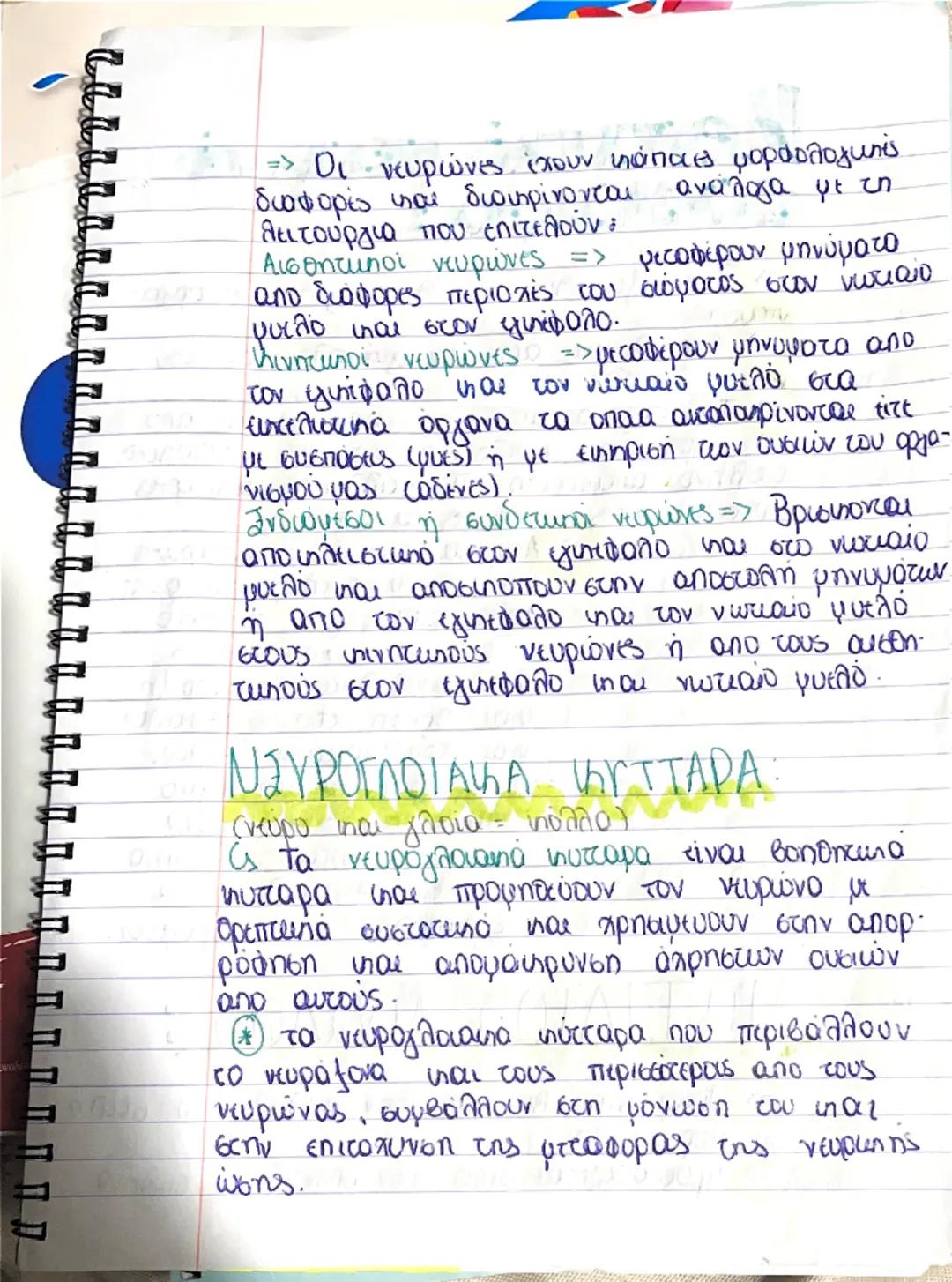 Wa
02-04-2025

# Διαγωνισμα Βωλογίας

## Νευρικό σύστημα

=> Το νεωρυπό σύστημα
μαζί με το σύστημα των
ενδοκρινών απάνων συμβάλ
λουν στη δια