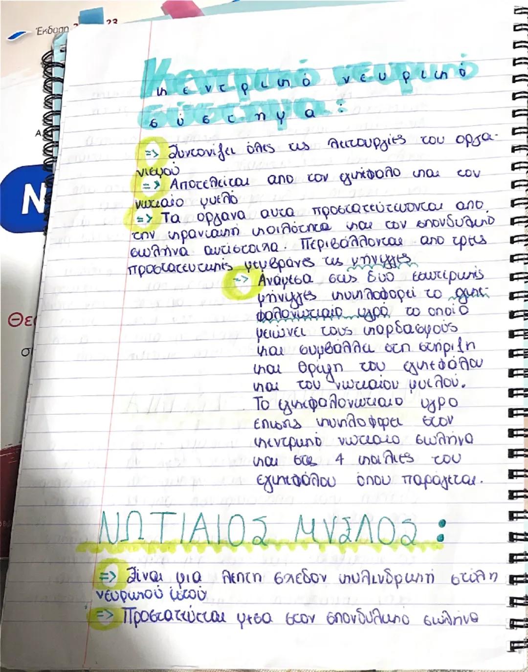 Wa
02-04-2025

# Διαγωνισμα Βωλογίας

## Νευρικό σύστημα

=> Το νεωρυπό σύστημα
μαζί με το σύστημα των
ενδοκρινών απάνων συμβάλ
λουν στη δια