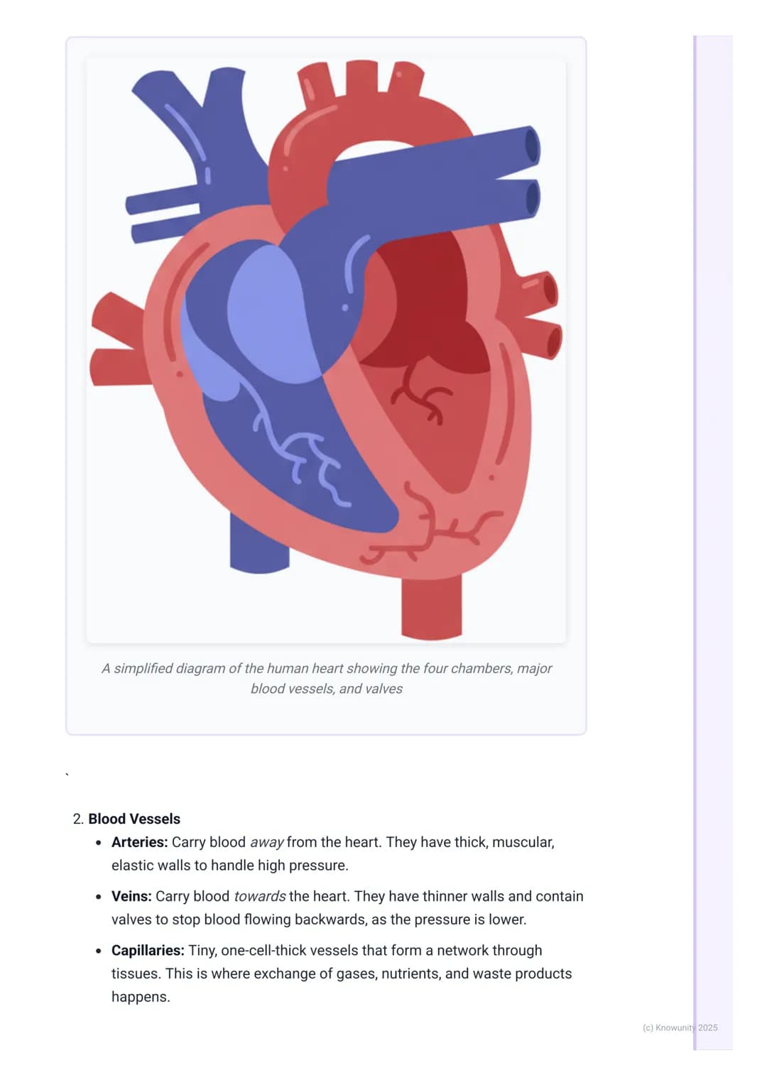 # Cardiovascular and Respiratory
Systems

Introduction to the cardiovascular and respiratory systems

These two systems work together to get