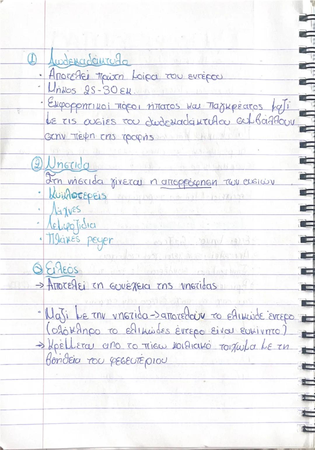 7さん

ΠΕΠΤΙΚΟ ΣΥΣΤΗΜΑ

(Γ.Ε.Σ
> Γαστρεντερετικός σωλήνας

Οργανα Πεπτικού Συστήkaros/
• Στοματική Κοιλότητα Συμβάλλει στη λειτουργία
Φάρυγγας