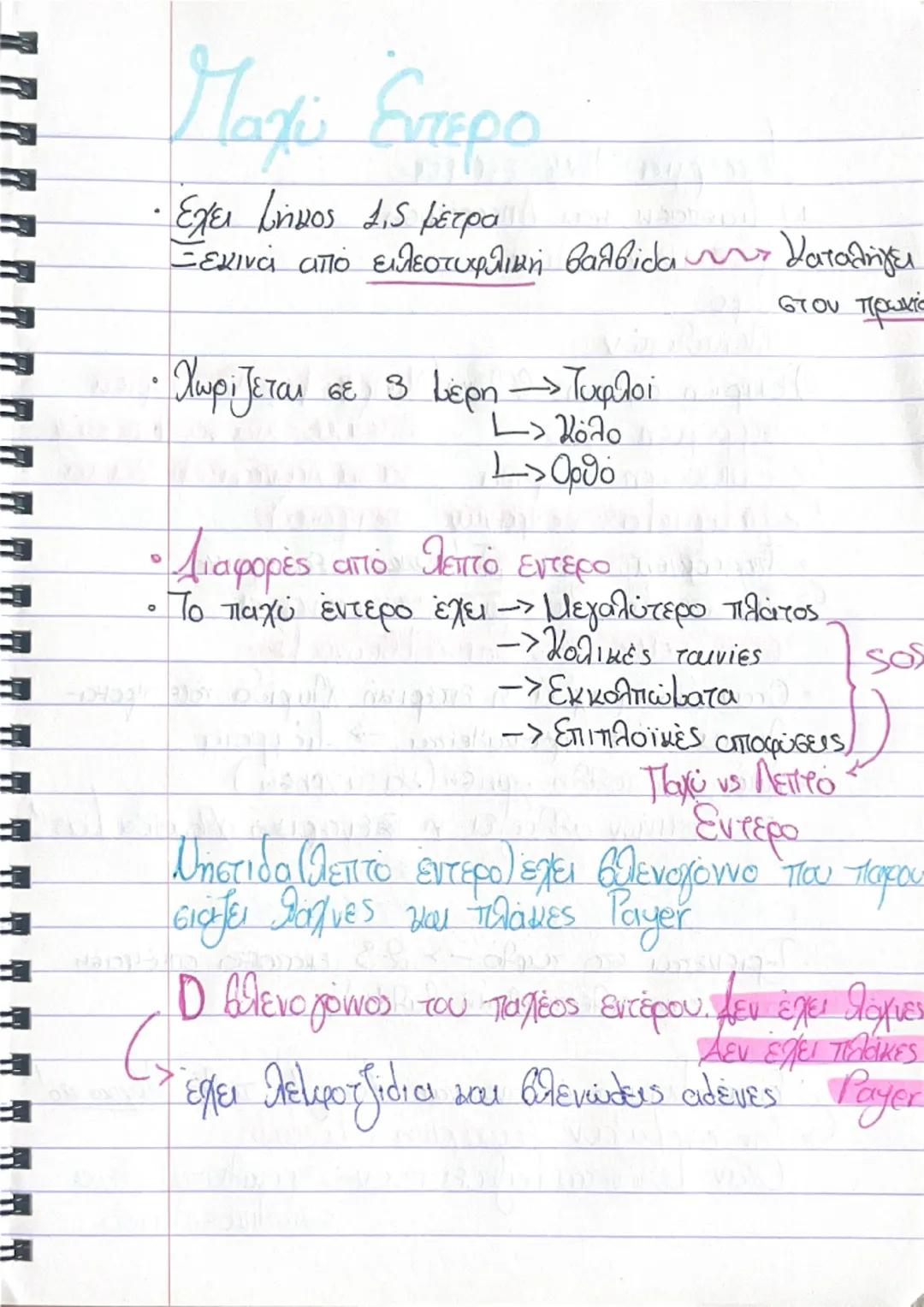7さん

ΠΕΠΤΙΚΟ ΣΥΣΤΗΜΑ

(Γ.Ε.Σ
> Γαστρεντερετικός σωλήνας

Οργανα Πεπτικού Συστήkaros/
• Στοματική Κοιλότητα Συμβάλλει στη λειτουργία
Φάρυγγας