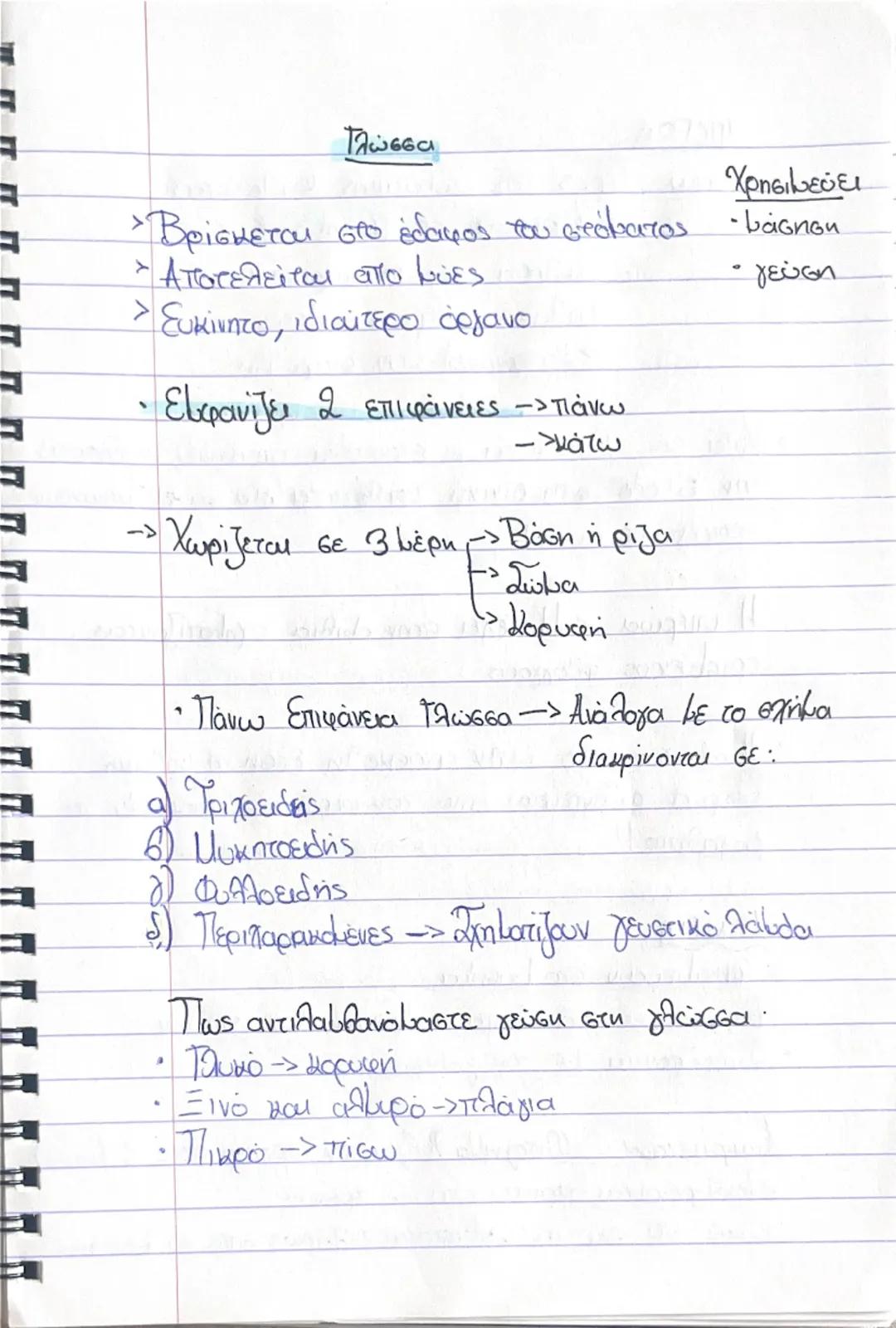 7さん

ΠΕΠΤΙΚΟ ΣΥΣΤΗΜΑ

(Γ.Ε.Σ
> Γαστρεντερετικός σωλήνας

Οργανα Πεπτικού Συστήkaros/
• Στοματική Κοιλότητα Συμβάλλει στη λειτουργία
Φάρυγγας