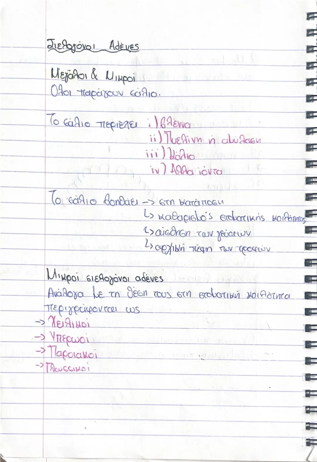 7さん

ΠΕΠΤΙΚΟ ΣΥΣΤΗΜΑ

(Γ.Ε.Σ
> Γαστρεντερετικός σωλήνας

Οργανα Πεπτικού Συστήkaros/
• Στοματική Κοιλότητα Συμβάλλει στη λειτουργία
Φάρυγγας
