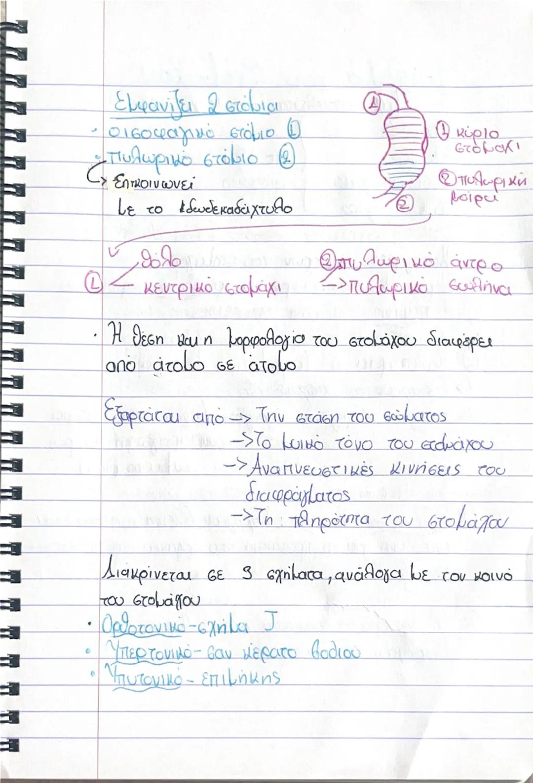 7さん

ΠΕΠΤΙΚΟ ΣΥΣΤΗΜΑ

(Γ.Ε.Σ
> Γαστρεντερετικός σωλήνας

Οργανα Πεπτικού Συστήkaros/
• Στοματική Κοιλότητα Συμβάλλει στη λειτουργία
Φάρυγγας