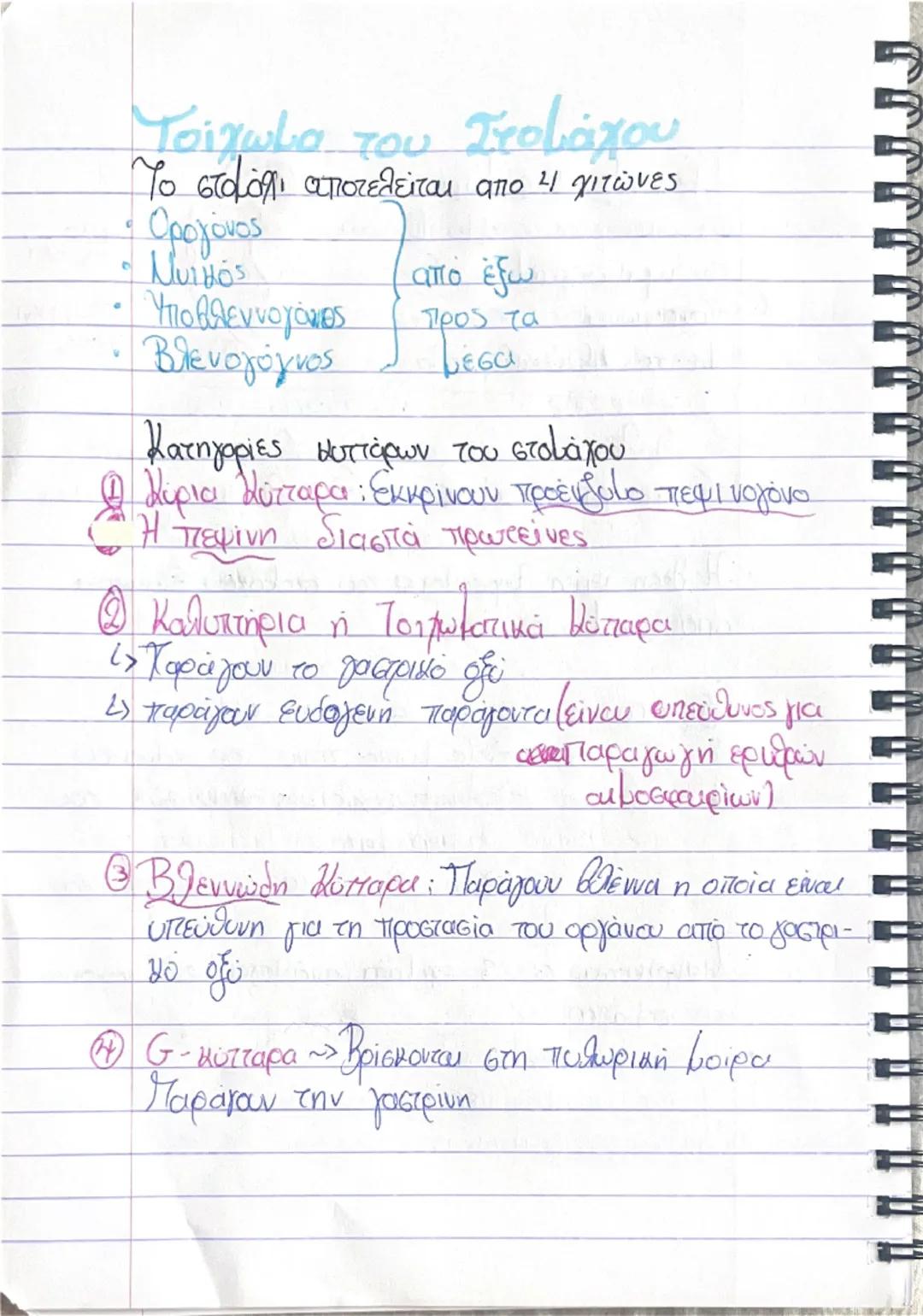 7さん

ΠΕΠΤΙΚΟ ΣΥΣΤΗΜΑ

(Γ.Ε.Σ
> Γαστρεντερετικός σωλήνας

Οργανα Πεπτικού Συστήkaros/
• Στοματική Κοιλότητα Συμβάλλει στη λειτουργία
Φάρυγγας