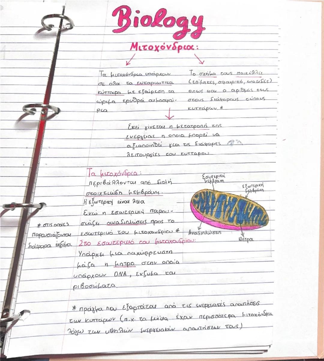 # Biology
Μιτοχόνδρια:
✓
Τα μιτοχόνδρια υπάρχουν
σε όλα τα ευκαριωτικά
kύτταρα με εξαίρεση τα
ώριμα ερυθρά αιμοσφαί-
ρια
↓
Εκεί γίνεται η με