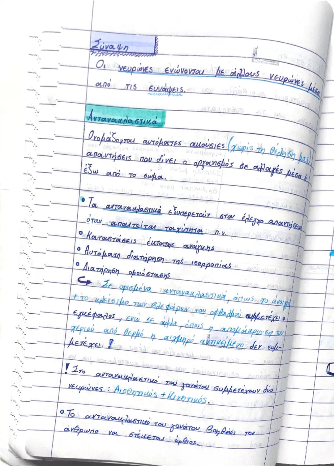 NEULIKE SUSTIMA

(ΠΝΣ)
(ΚΝΣ) 3

Περιφερικό Νευρικό σύστημα | Κεντρικό Νευρικό σύστημα

ο τα νεύρα | • Εγκέφαλος
ο συνδέει το περιβάλλον | • 