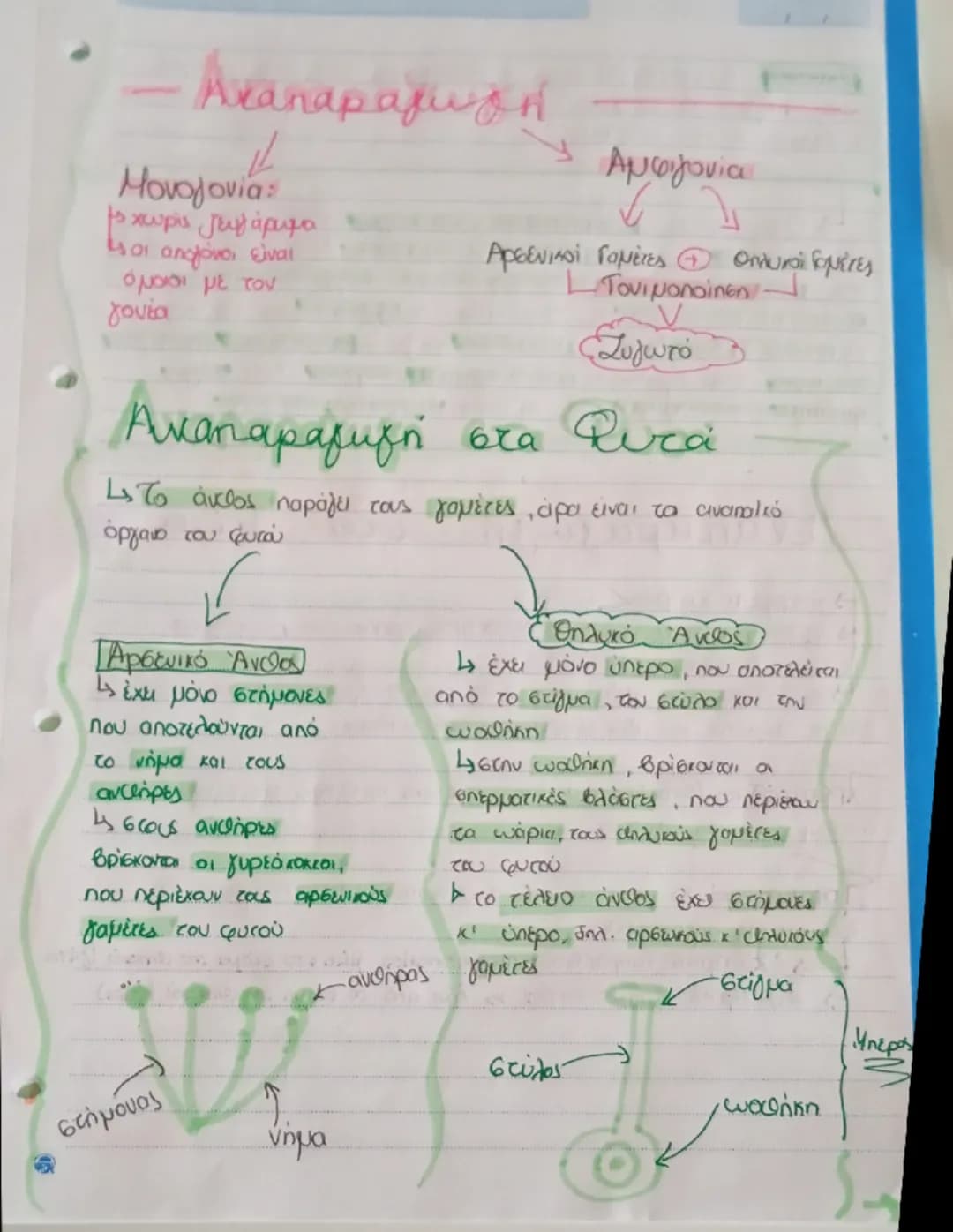 Βιολογία β γυμνασίου 