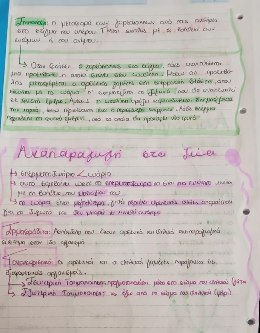 # Τηνοσία: η μεταφορά των θρεπτικών από τας ρίζες
στο βέμβα και ύπαρξη. Τίναί συνδείας με τα βασίλεία των
eυαίων ή των ανιών.

- Όταν φτάσει