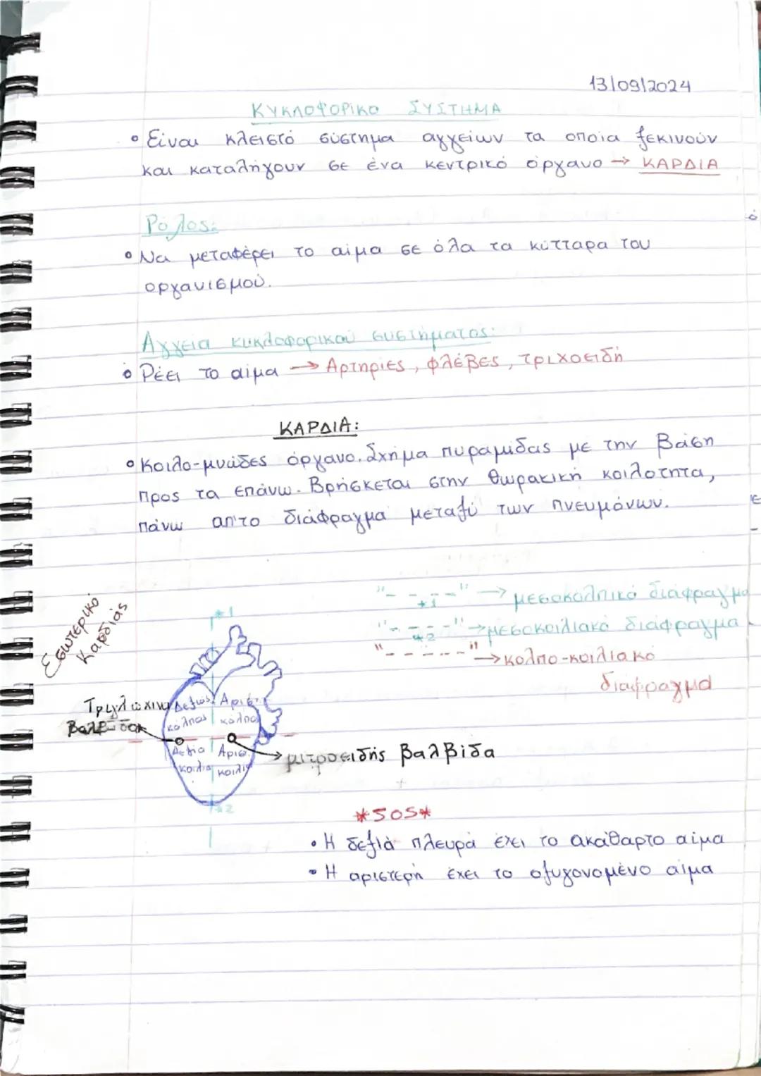 Ανατομία της Καρδιάς και του Κυκλοφορικού Συστήματος