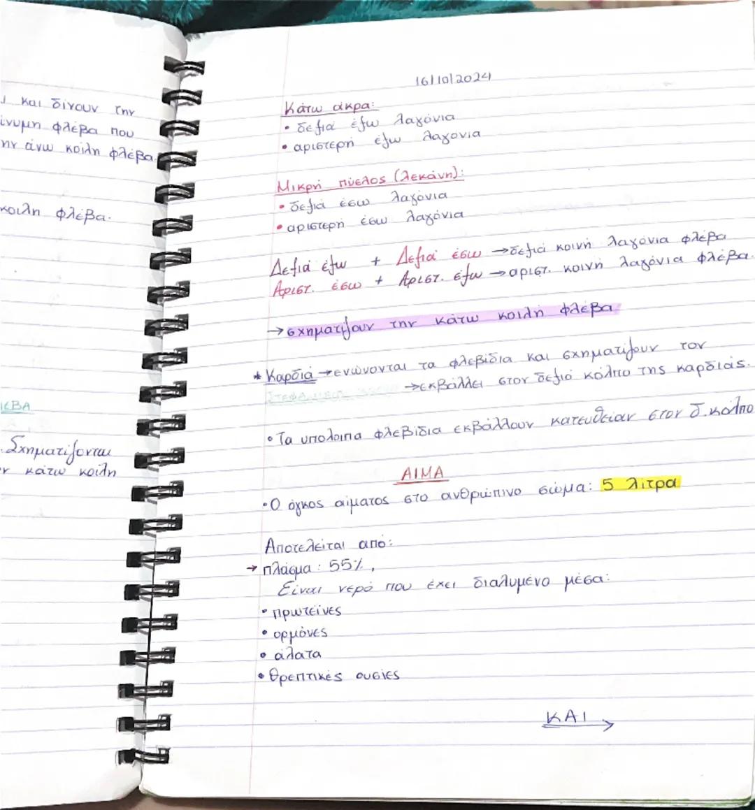 ΚΥΚΛΟΦΟΡΙΚΟ ΣΥΣΤΗΜΑ
13/09/2024
• Είναι κλειστό σύστημα αγγείων τα οποία ξεκινούν
και καταλήγουν σε ένα κεντρικό όργανο - ΚΑΡΔΙΑ
Polos
• Να μ