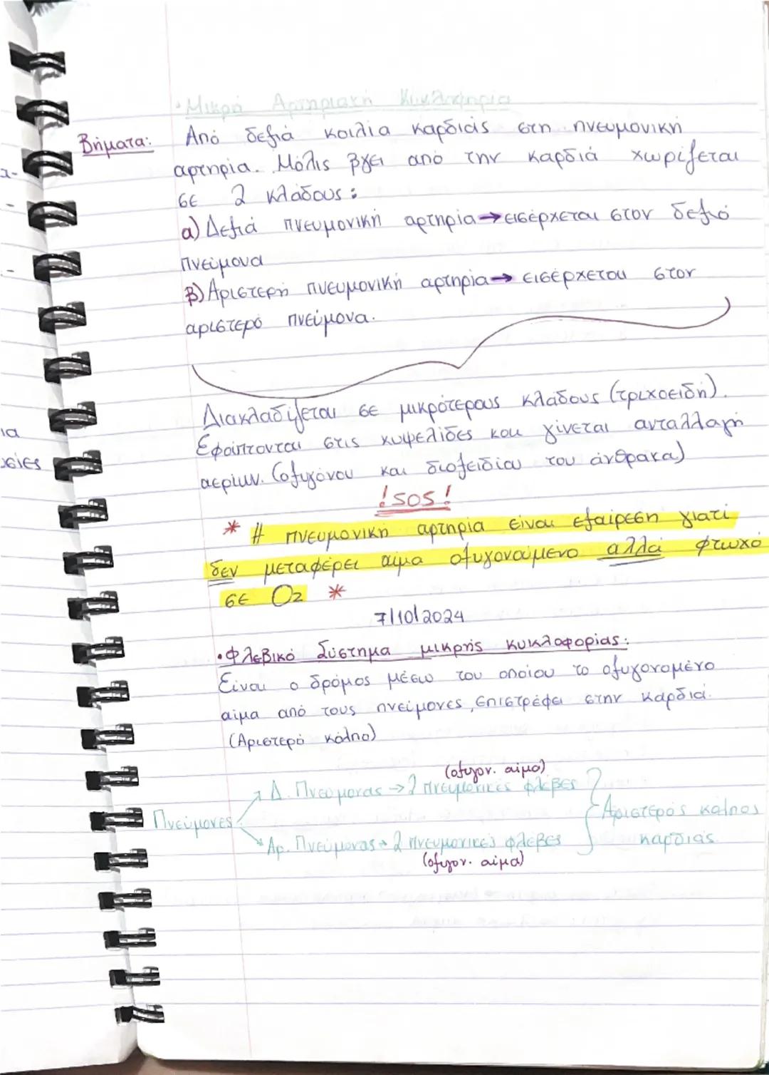 ΚΥΚΛΟΦΟΡΙΚΟ ΣΥΣΤΗΜΑ
13/09/2024
• Είναι κλειστό σύστημα αγγείων τα οποία ξεκινούν
και καταλήγουν σε ένα κεντρικό όργανο - ΚΑΡΔΙΑ
Polos
• Να μ