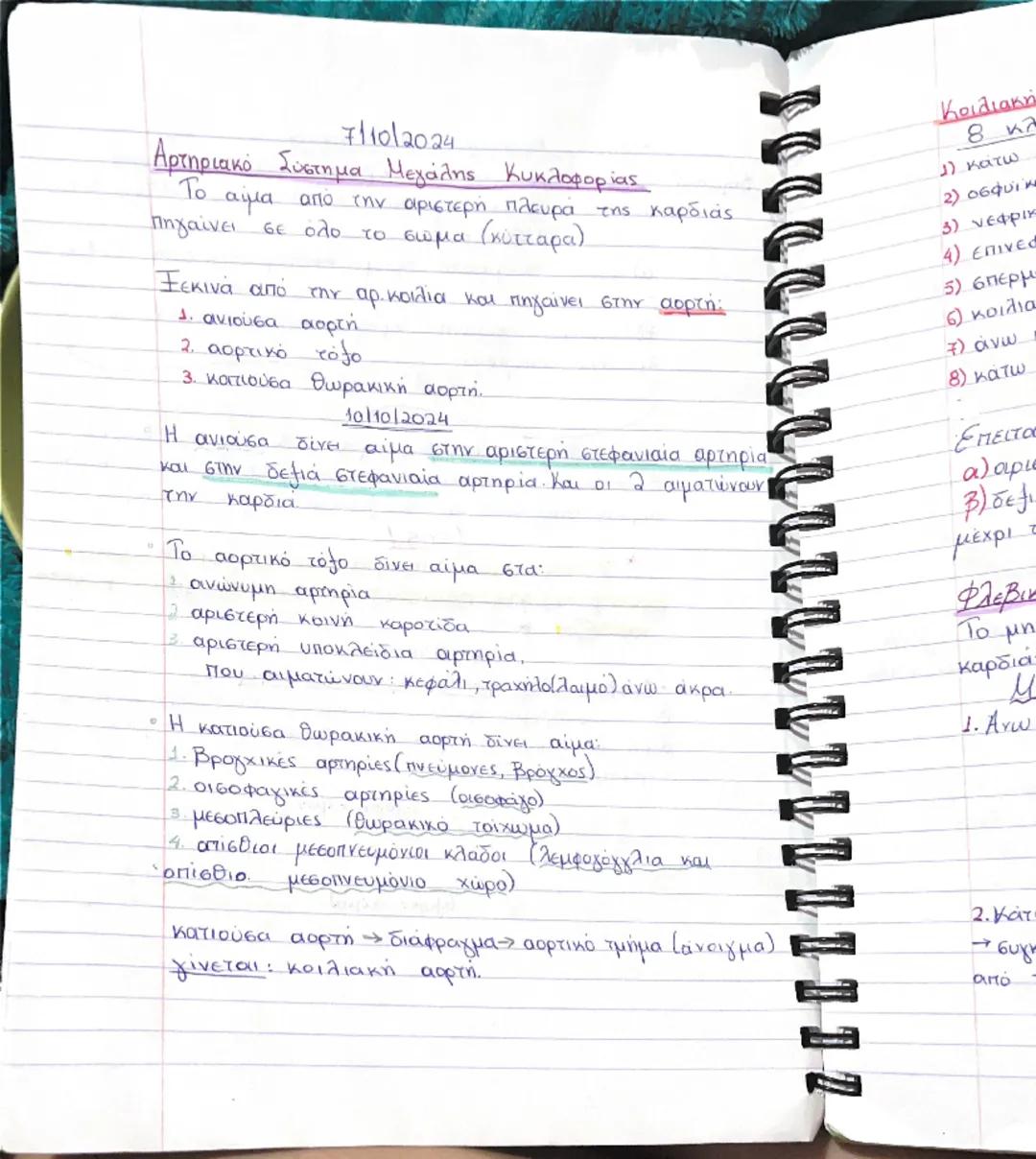 ΚΥΚΛΟΦΟΡΙΚΟ ΣΥΣΤΗΜΑ
13/09/2024
• Είναι κλειστό σύστημα αγγείων τα οποία ξεκινούν
και καταλήγουν σε ένα κεντρικό όργανο - ΚΑΡΔΙΑ
Polos
• Να μ