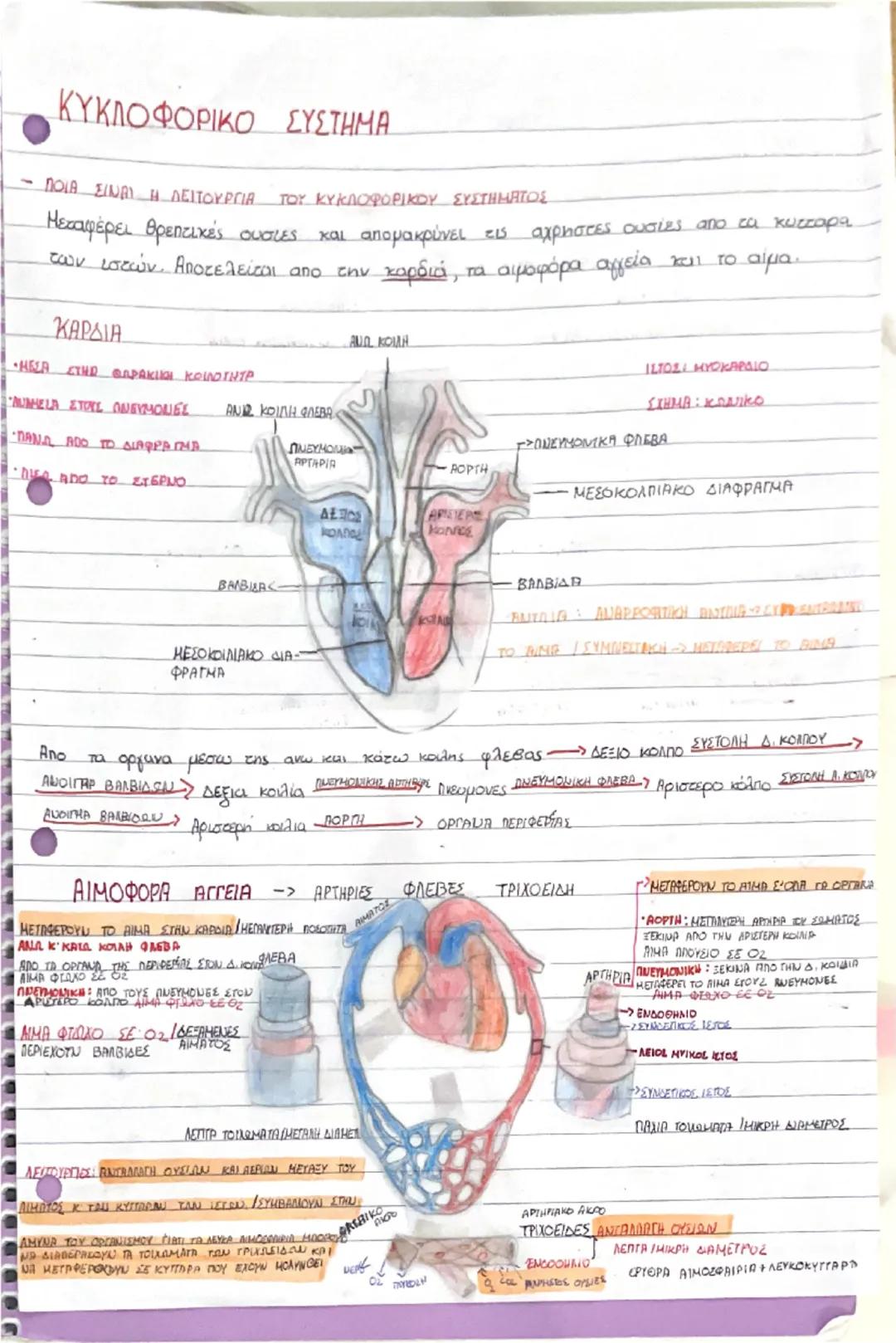 # ΚΥΚΛΟΦΟΡΙΚΟ ΣΥΣΤΗΜΑ

- ΠΟΙΑ ΕΙΝΑΙ Η ΛΕΙΤΟΥΡΓΙΑ ΤΟΥ ΚΥΚΛΟΦΟΡΙΚΟΥ ΣΥΣΤΗΜΑΤΟΣ

Μεταφέρει θρεπτικές ουσίες και απομακρύνει τις αχρηστες ουσίες