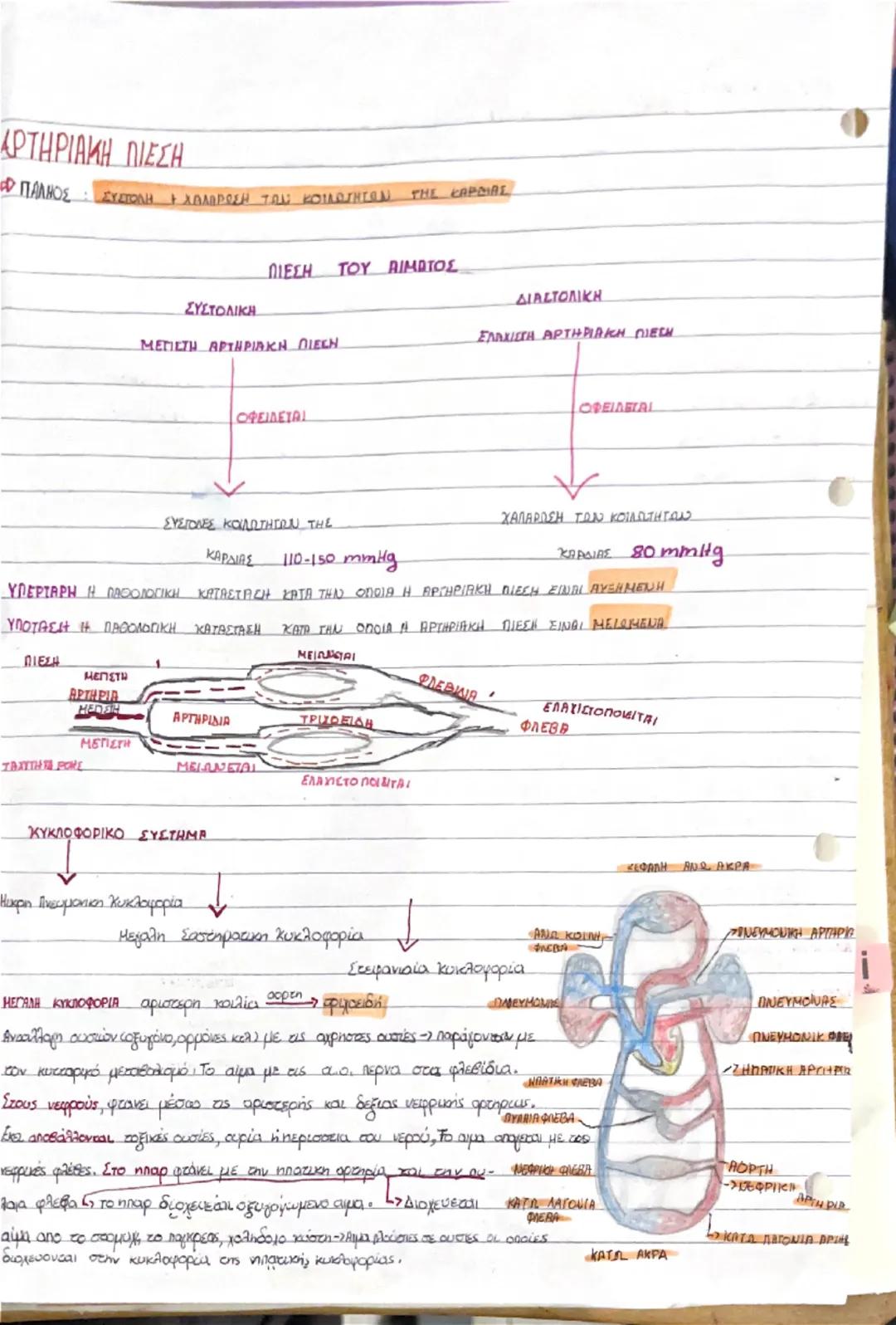 # ΚΥΚΛΟΦΟΡΙΚΟ ΣΥΣΤΗΜΑ

- ΠΟΙΑ ΕΙΝΑΙ Η ΛΕΙΤΟΥΡΓΙΑ ΤΟΥ ΚΥΚΛΟΦΟΡΙΚΟΥ ΣΥΣΤΗΜΑΤΟΣ

Μεταφέρει θρεπτικές ουσίες και απομακρύνει τις αχρηστες ουσίες