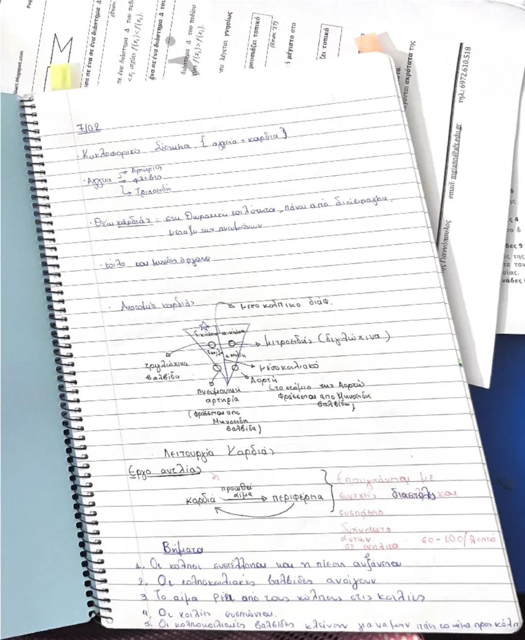 Ανατομία Γ ΕΠΑΛ - Κυκλοφορικό Σύστημα και Πεπτικά Όργανα