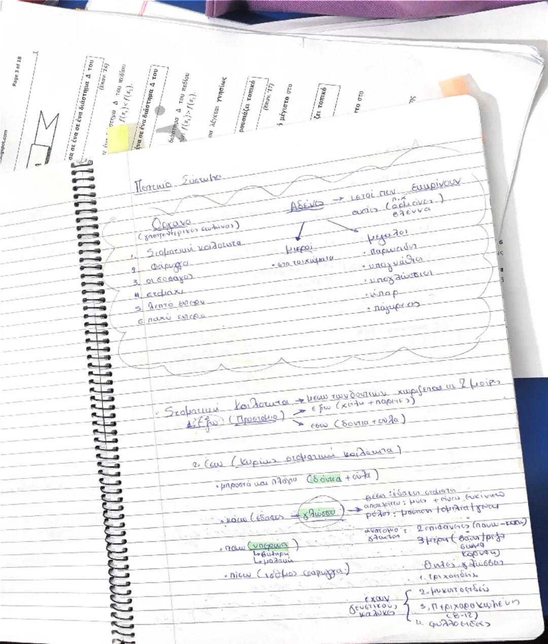 Paga
30
>
<x
ένα σε ένα διάστημα 4 του
no
4
(Em
5
7/02

- Κυκλοφορικό Σύστημα. Σ αγγεία + καρδια ξ

Αγγεία το φλέβες

Το Τριχοειδή

· θείω κ