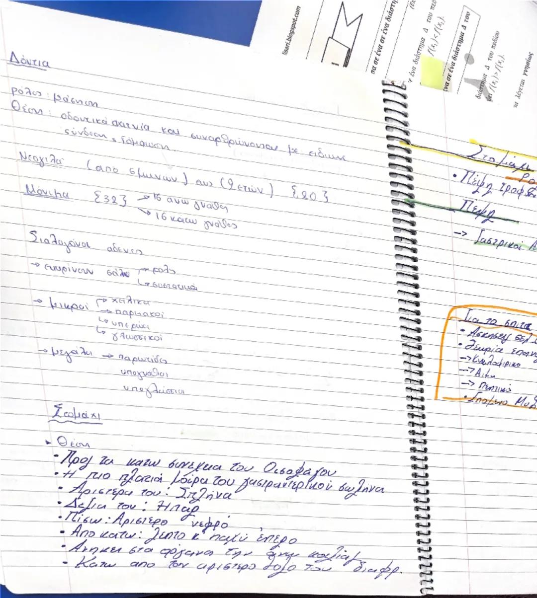 Paga
30
>
<x
ένα σε ένα διάστημα 4 του
no
4
(Em
5
7/02

- Κυκλοφορικό Σύστημα. Σ αγγεία + καρδια ξ

Αγγεία το φλέβες

Το Τριχοειδή

· θείω κ