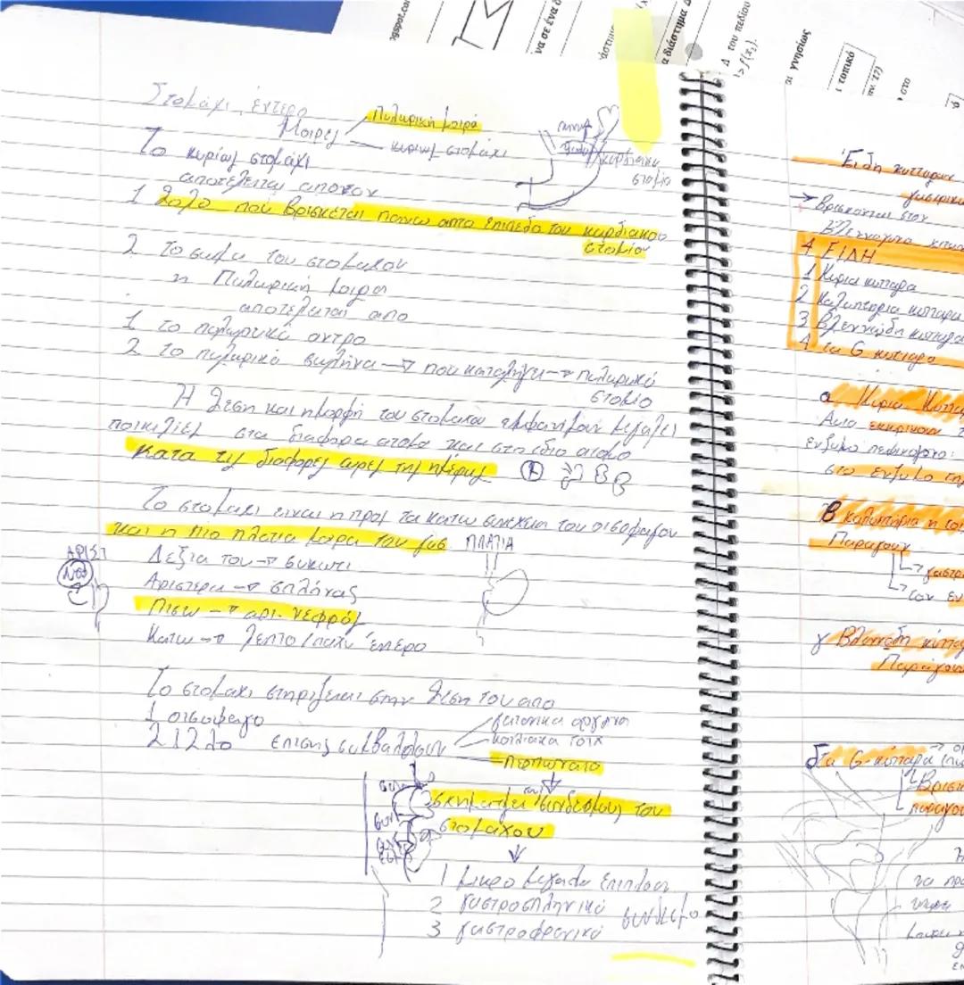 Paga
30
>
<x
ένα σε ένα διάστημα 4 του
no
4
(Em
5
7/02

- Κυκλοφορικό Σύστημα. Σ αγγεία + καρδια ξ

Αγγεία το φλέβες

Το Τριχοειδή

· θείω κ