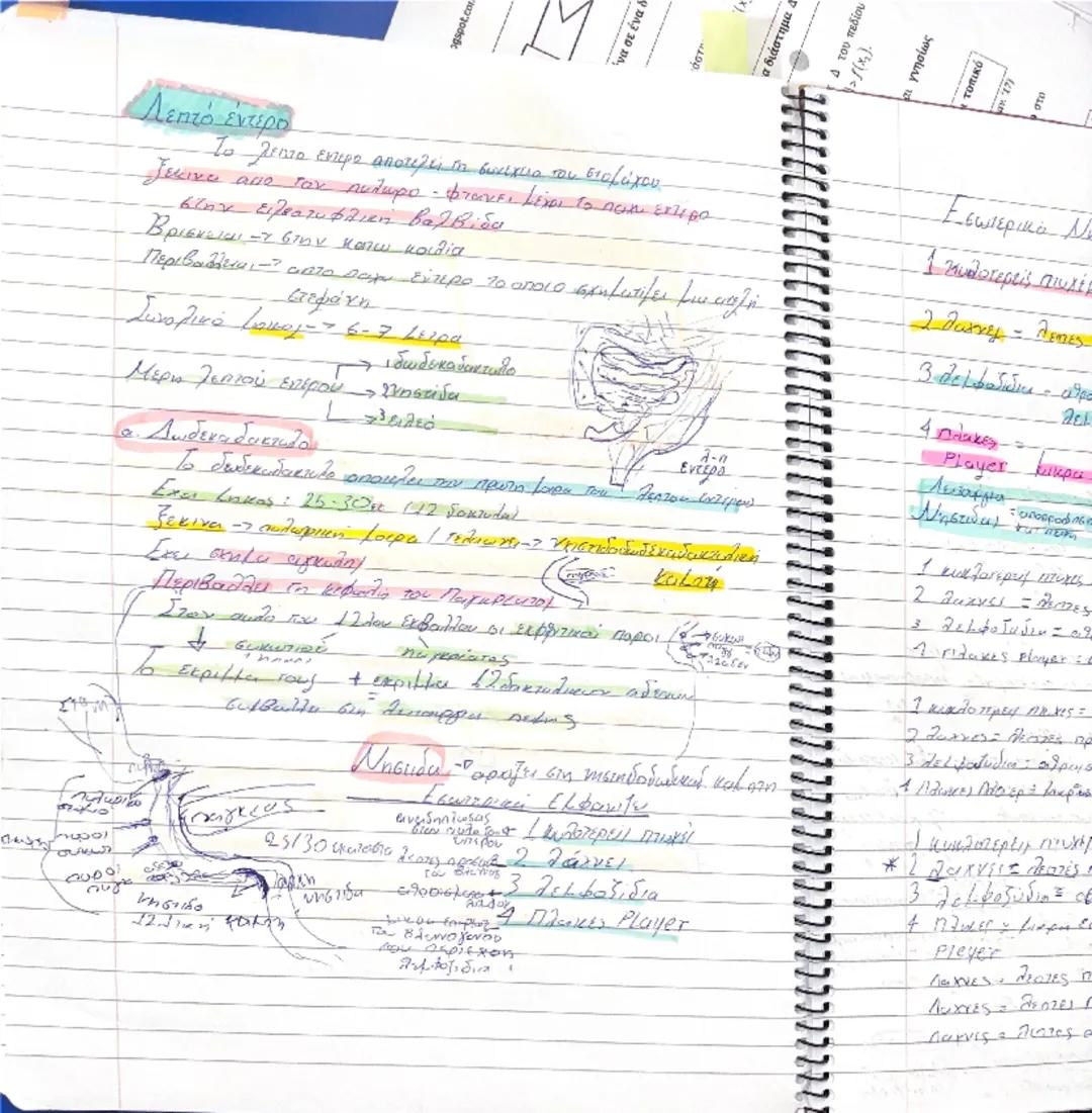 Paga
30
>
<x
ένα σε ένα διάστημα 4 του
no
4
(Em
5
7/02

- Κυκλοφορικό Σύστημα. Σ αγγεία + καρδια ξ

Αγγεία το φλέβες

Το Τριχοειδή

· θείω κ