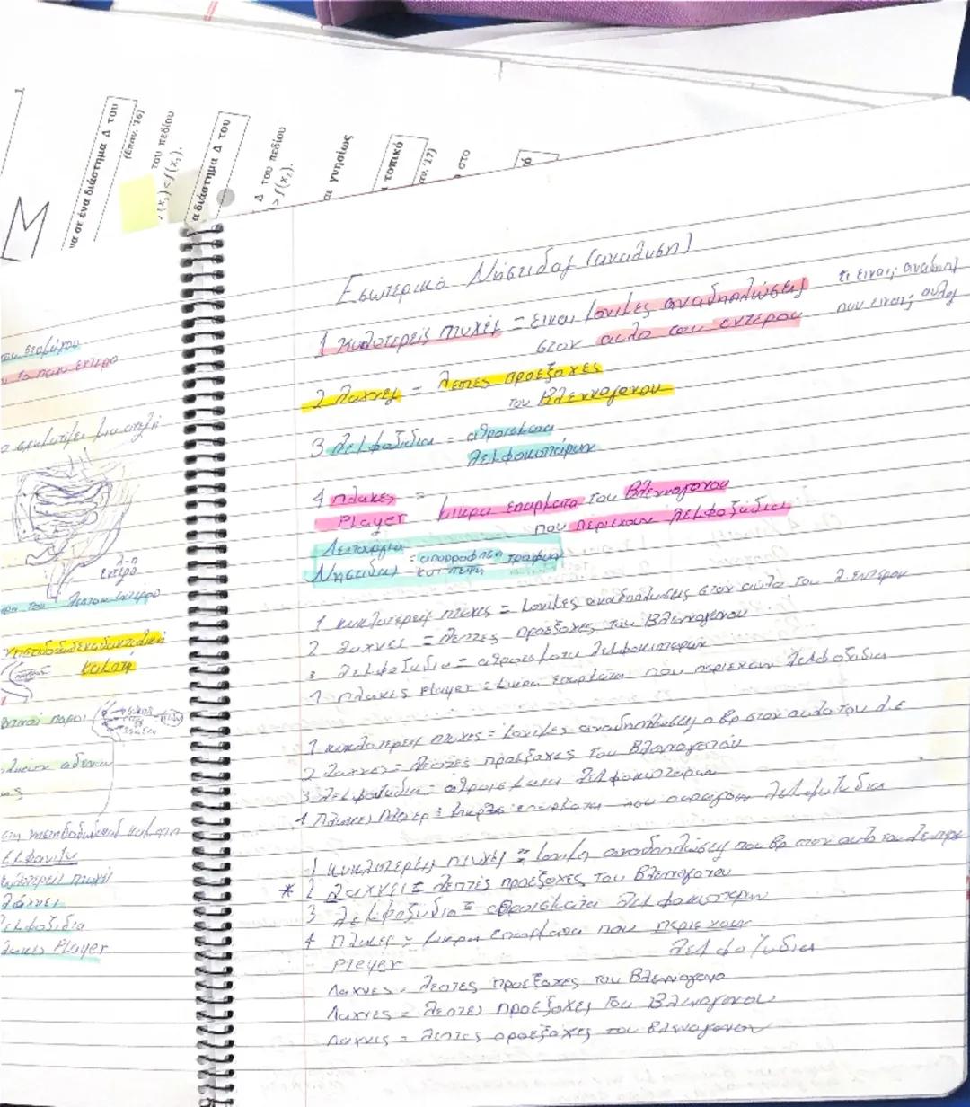 Paga
30
>
<x
ένα σε ένα διάστημα 4 του
no
4
(Em
5
7/02

- Κυκλοφορικό Σύστημα. Σ αγγεία + καρδια ξ

Αγγεία το φλέβες

Το Τριχοειδή

· θείω κ