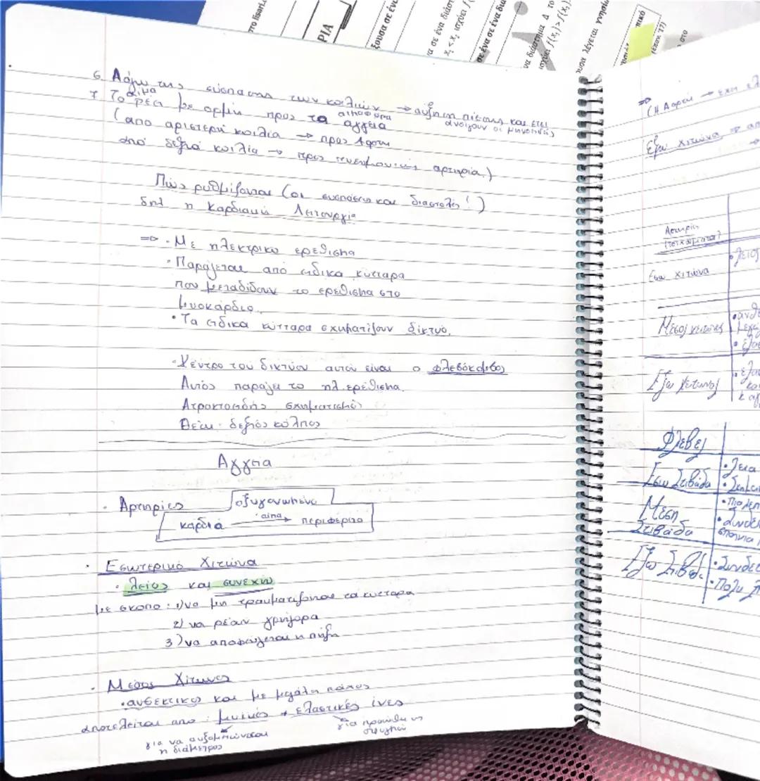 Paga
30
>
<x
ένα σε ένα διάστημα 4 του
no
4
(Em
5
7/02

- Κυκλοφορικό Σύστημα. Σ αγγεία + καρδια ξ

Αγγεία το φλέβες

Το Τριχοειδή

· θείω κ