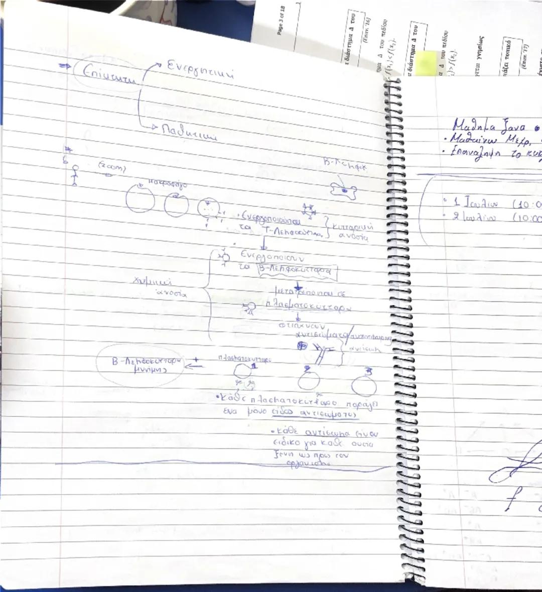 Paga
30
>
<x
ένα σε ένα διάστημα 4 του
no
4
(Em
5
7/02

- Κυκλοφορικό Σύστημα. Σ αγγεία + καρδια ξ

Αγγεία το φλέβες

Το Τριχοειδή

· θείω κ