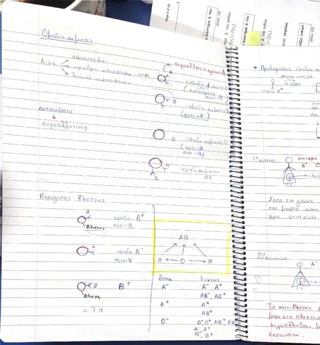 Paga
30
>
<x
ένα σε ένα διάστημα 4 του
no
4
(Em
5
7/02

- Κυκλοφορικό Σύστημα. Σ αγγεία + καρδια ξ

Αγγεία το φλέβες

Το Τριχοειδή

· θείω κ