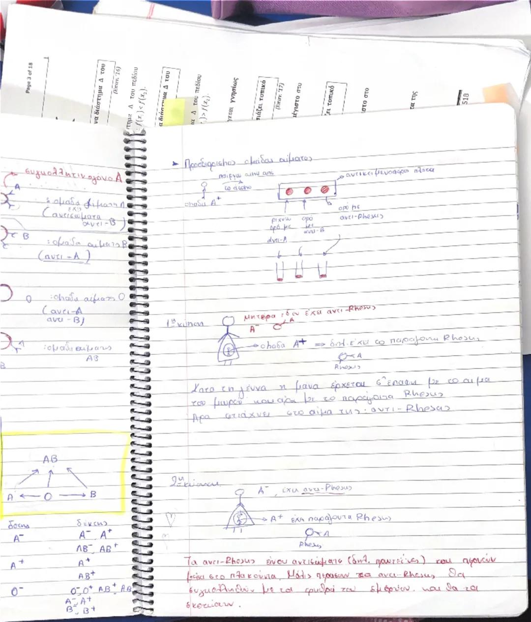 Paga
30
>
<x
ένα σε ένα διάστημα 4 του
no
4
(Em
5
7/02

- Κυκλοφορικό Σύστημα. Σ αγγεία + καρδια ξ

Αγγεία το φλέβες

Το Τριχοειδή

· θείω κ