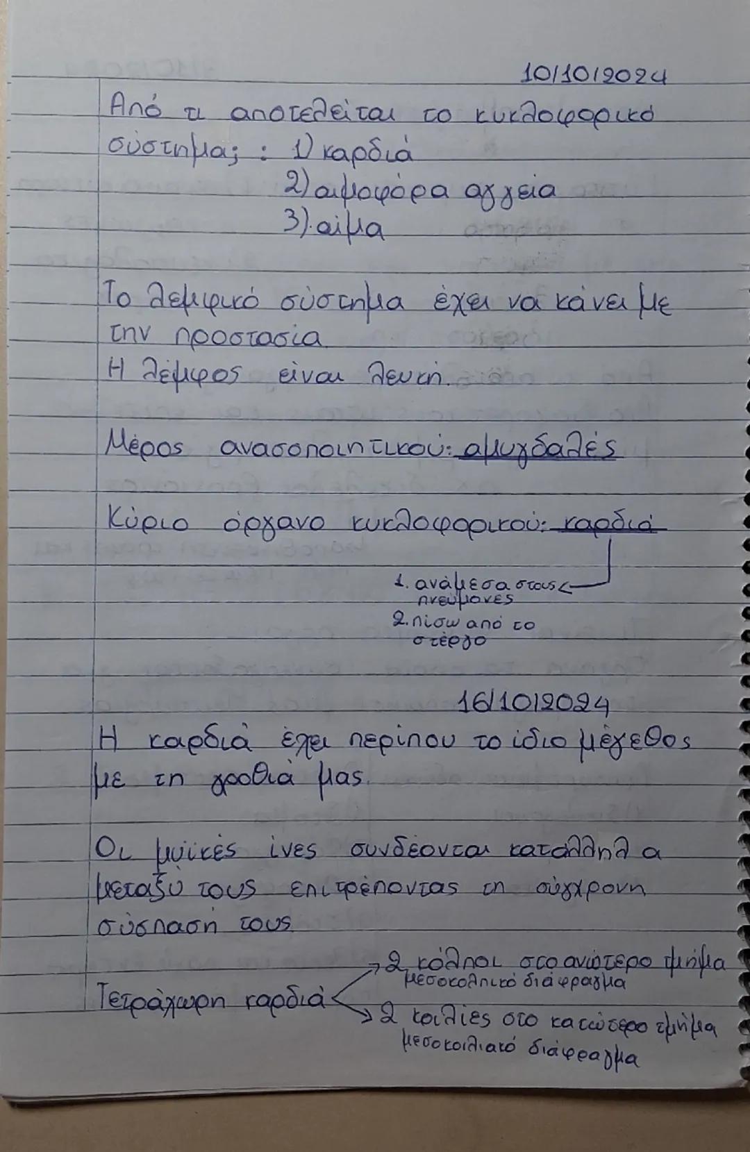 Κυκλοφορικο σύστημα 