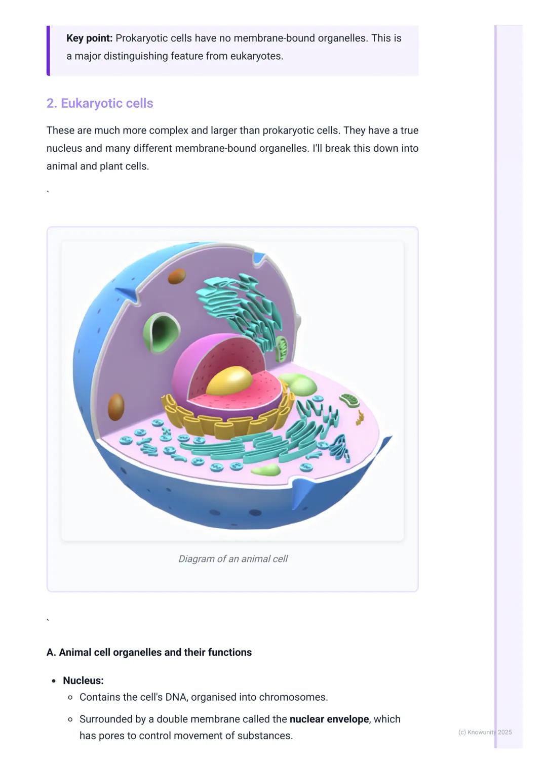 # Cell Structure and Function

Introduction to cell theory and types

The cell is the fundamental structural and functional unit of all know