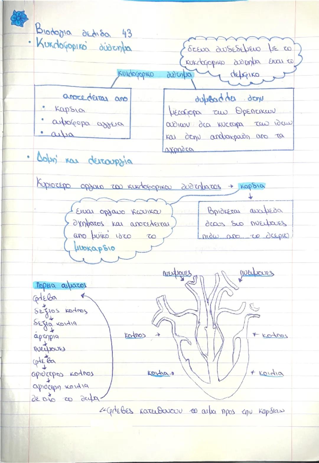 Κυκλοφορικό σύστημα 