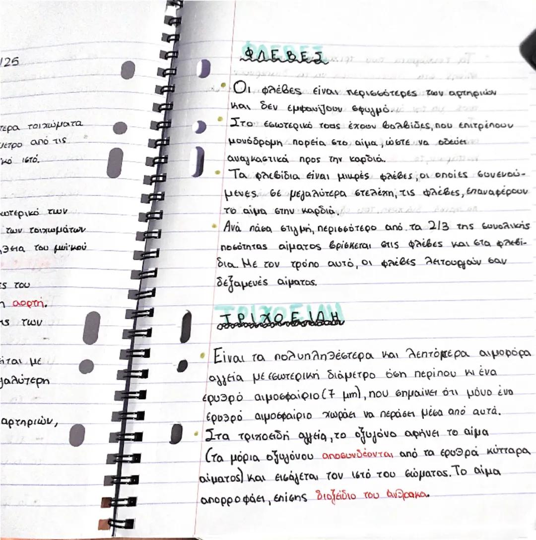 ΚΑΡΔΙΑ

Θέση και περιγραφή
- Η καρδιά είναι ένα όργανο μυώδες
(αποτελείται από μυϊκό ιστό, το μυοκάρδιο)
και κοίλο και έχει σχήμα τριγωνικής