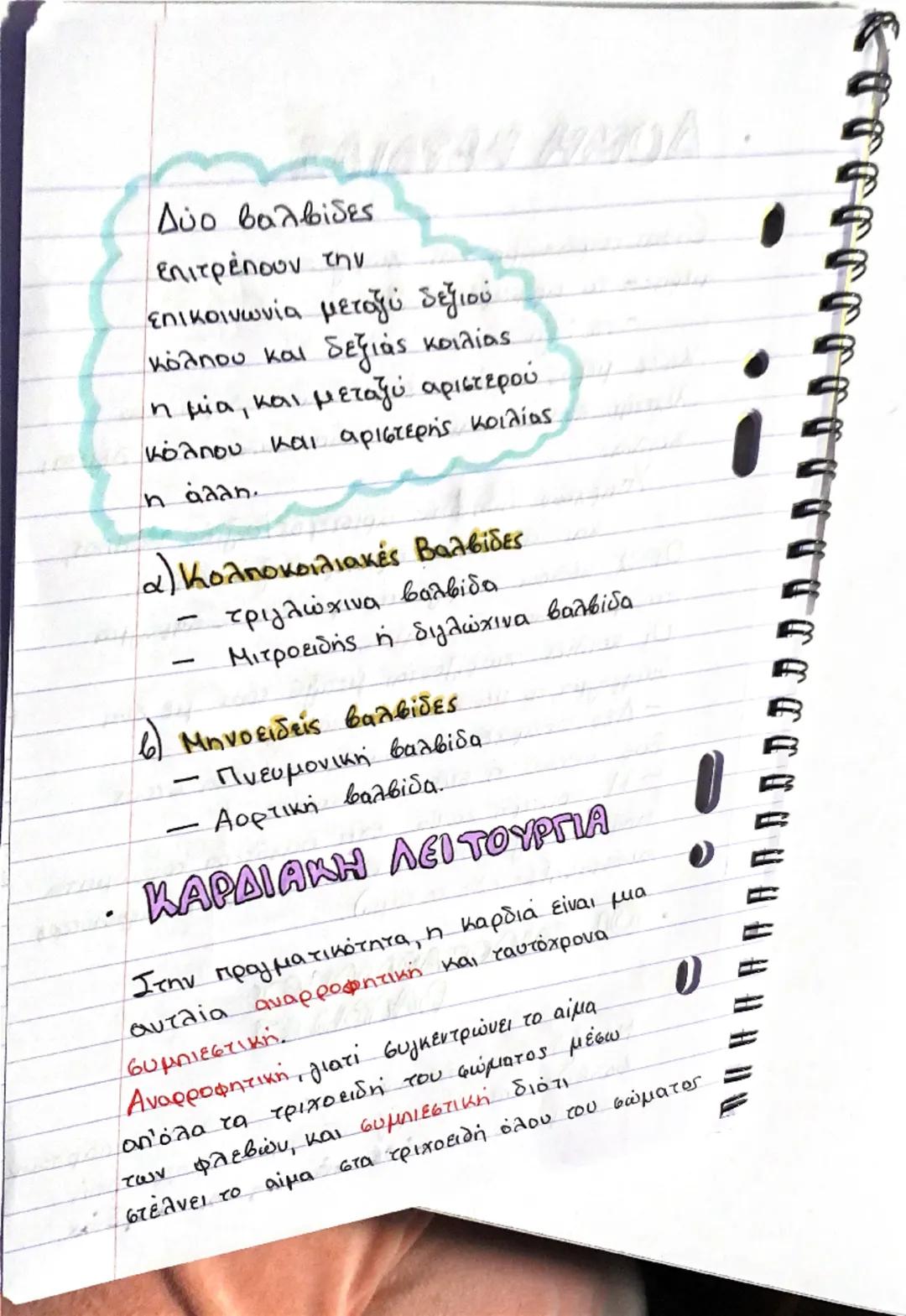 ΚΑΡΔΙΑ

Θέση και περιγραφή
- Η καρδιά είναι ένα όργανο μυώδες
(αποτελείται από μυϊκό ιστό, το μυοκάρδιο)
και κοίλο και έχει σχήμα τριγωνικής