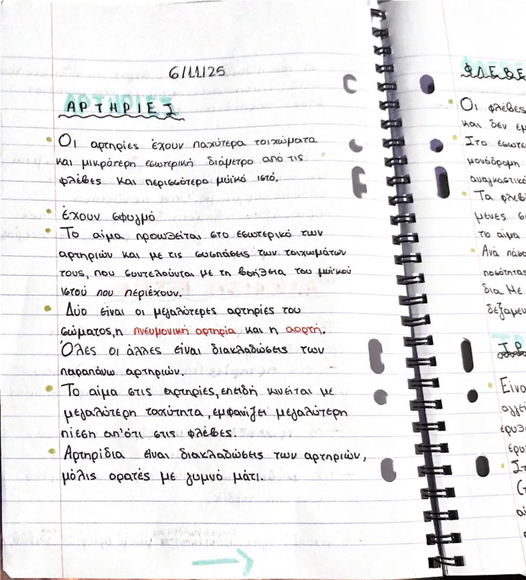 ΚΑΡΔΙΑ

Θέση και περιγραφή
- Η καρδιά είναι ένα όργανο μυώδες
(αποτελείται από μυϊκό ιστό, το μυοκάρδιο)
και κοίλο και έχει σχήμα τριγωνικής