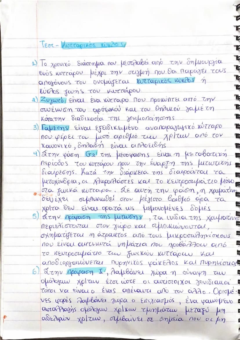 # αδελφές χρωματίδες  προσφέρονται μεταξύ τους και δημιουργούν  χιασματα. Επιπλέον, αποδοργανώνεται ο πυρηνικός φάκελος, εξαφανίζεται ο πυρη