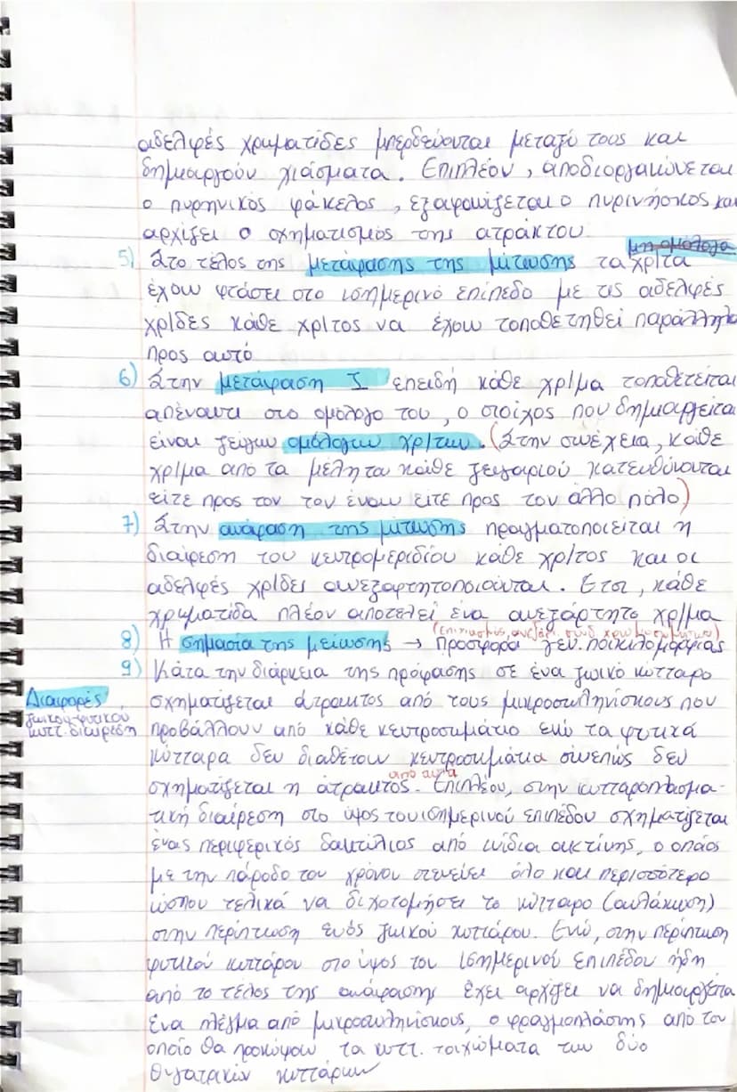 # αδελφές χρωματίδες  προσφέρονται μεταξύ τους και δημιουργούν  χιασματα. Επιπλέον, αποδοργανώνεται ο πυρηνικός φάκελος, εξαφανίζεται ο πυρη